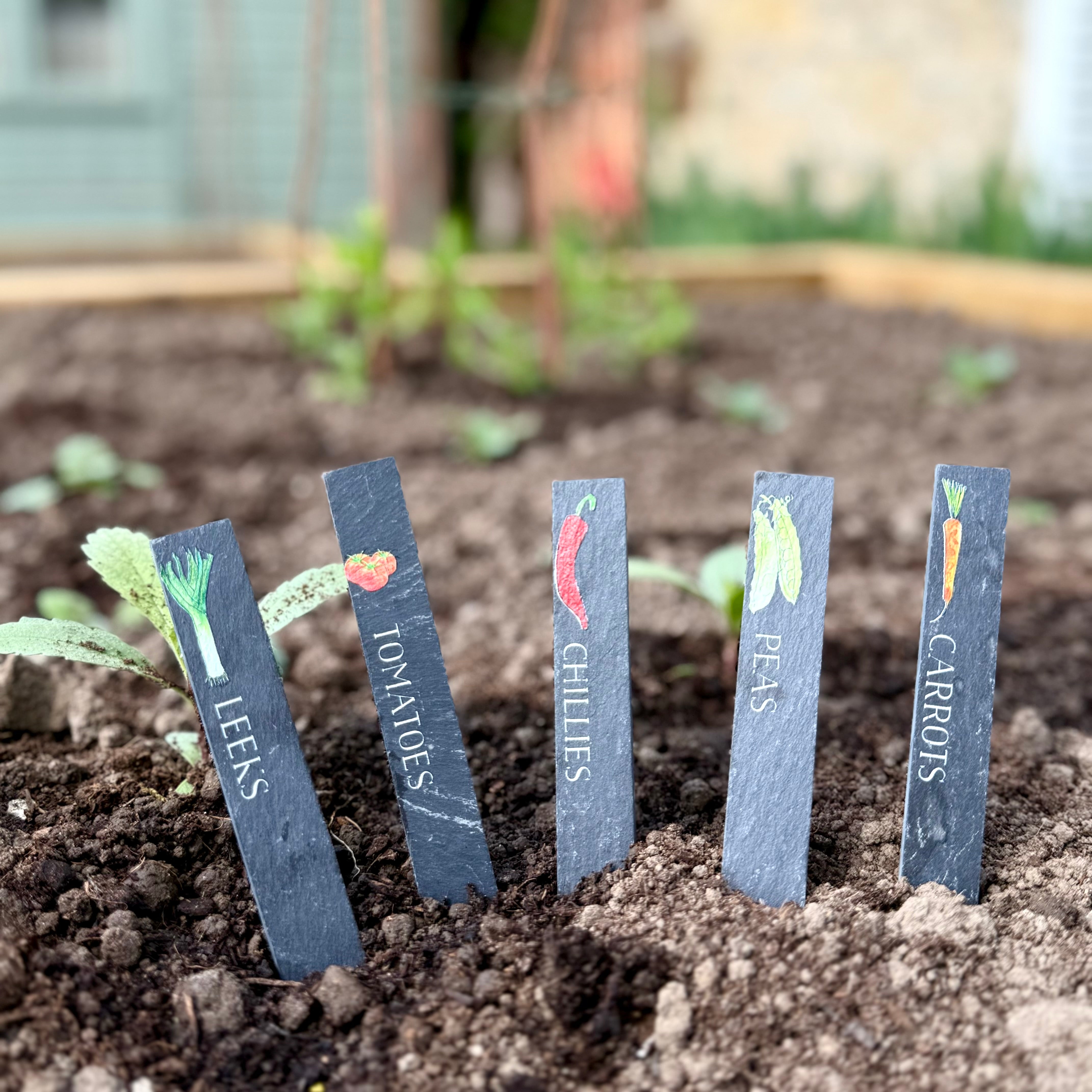 Vegetable Slate Plant Markers
