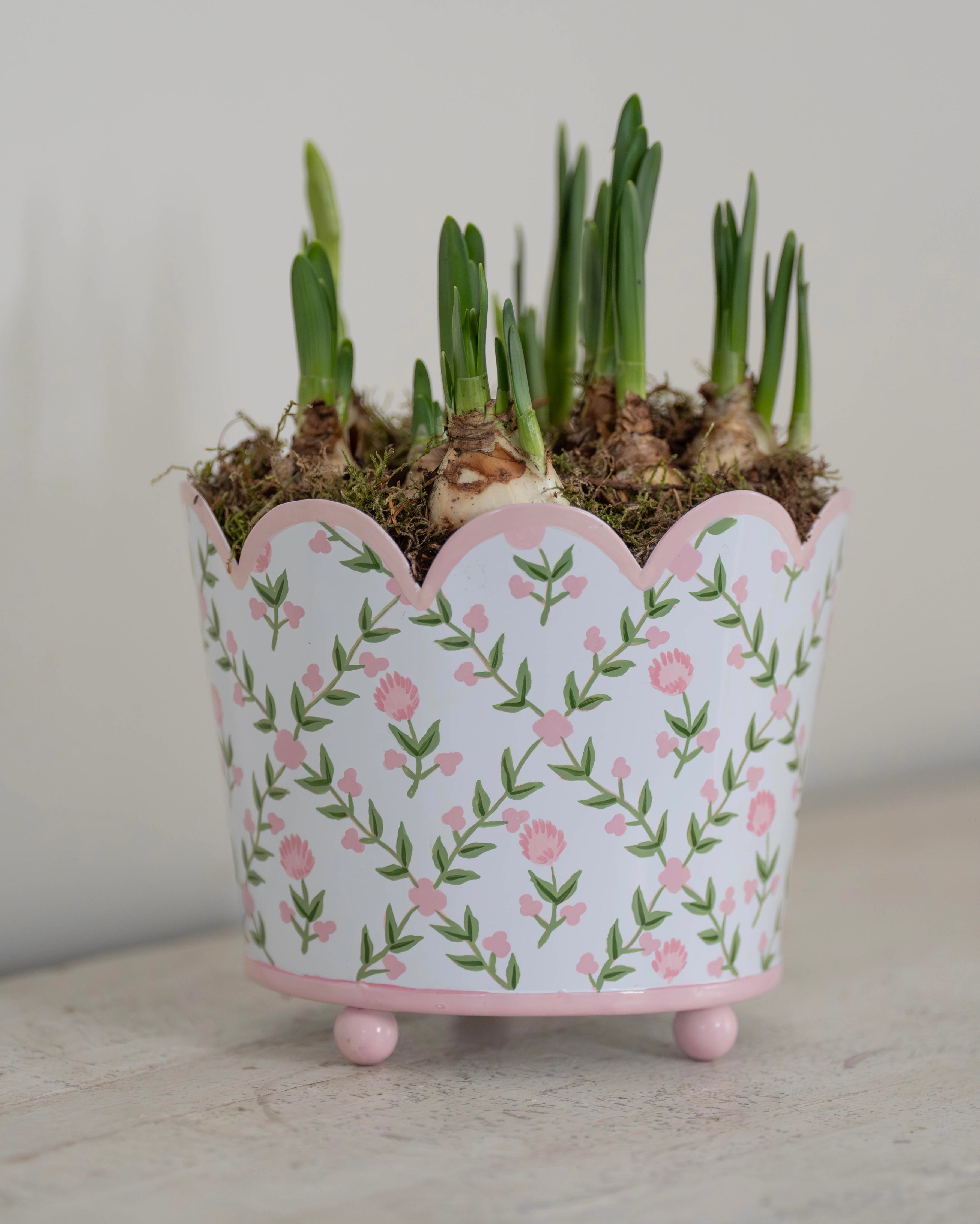 Pink Trellis Scalloped Planter