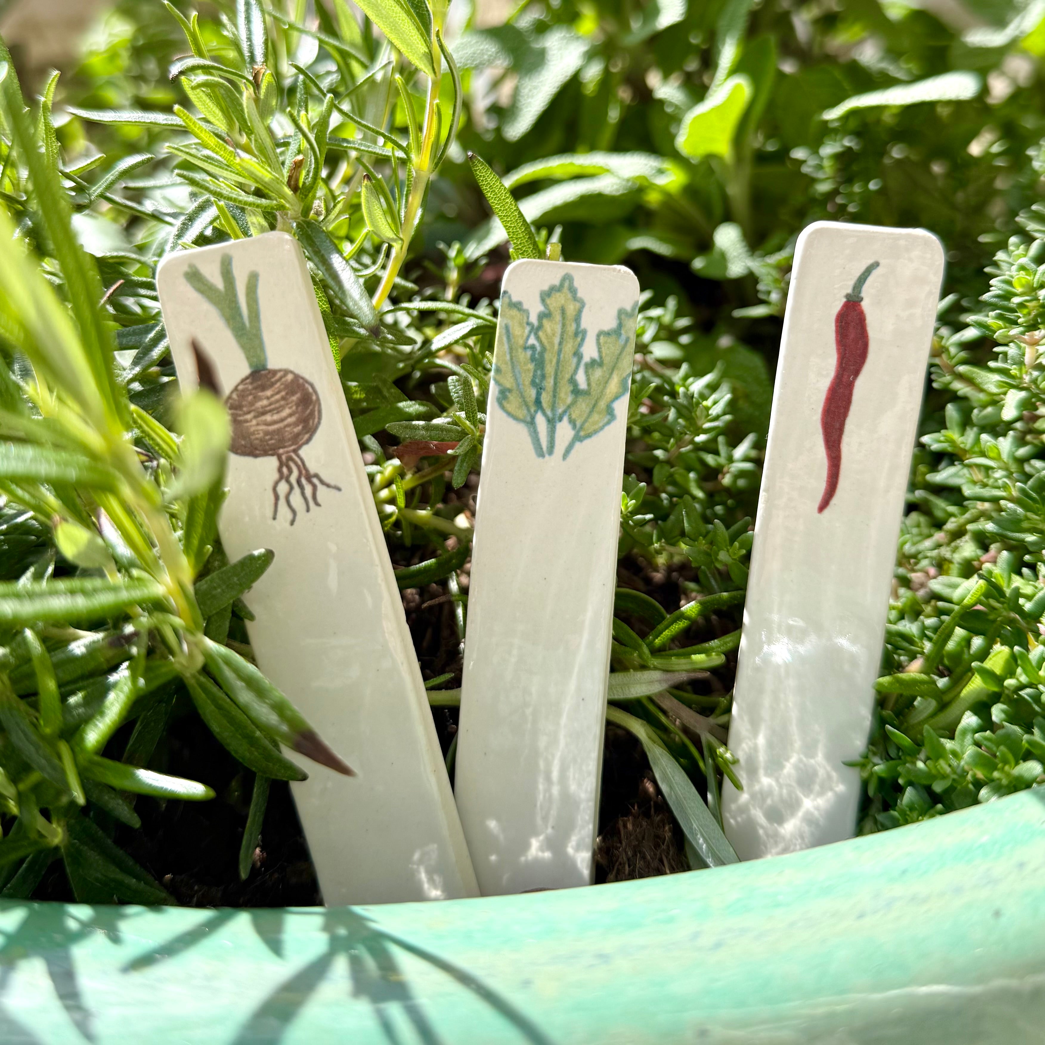 Ceramic Vegetable Markers (Set of 8)