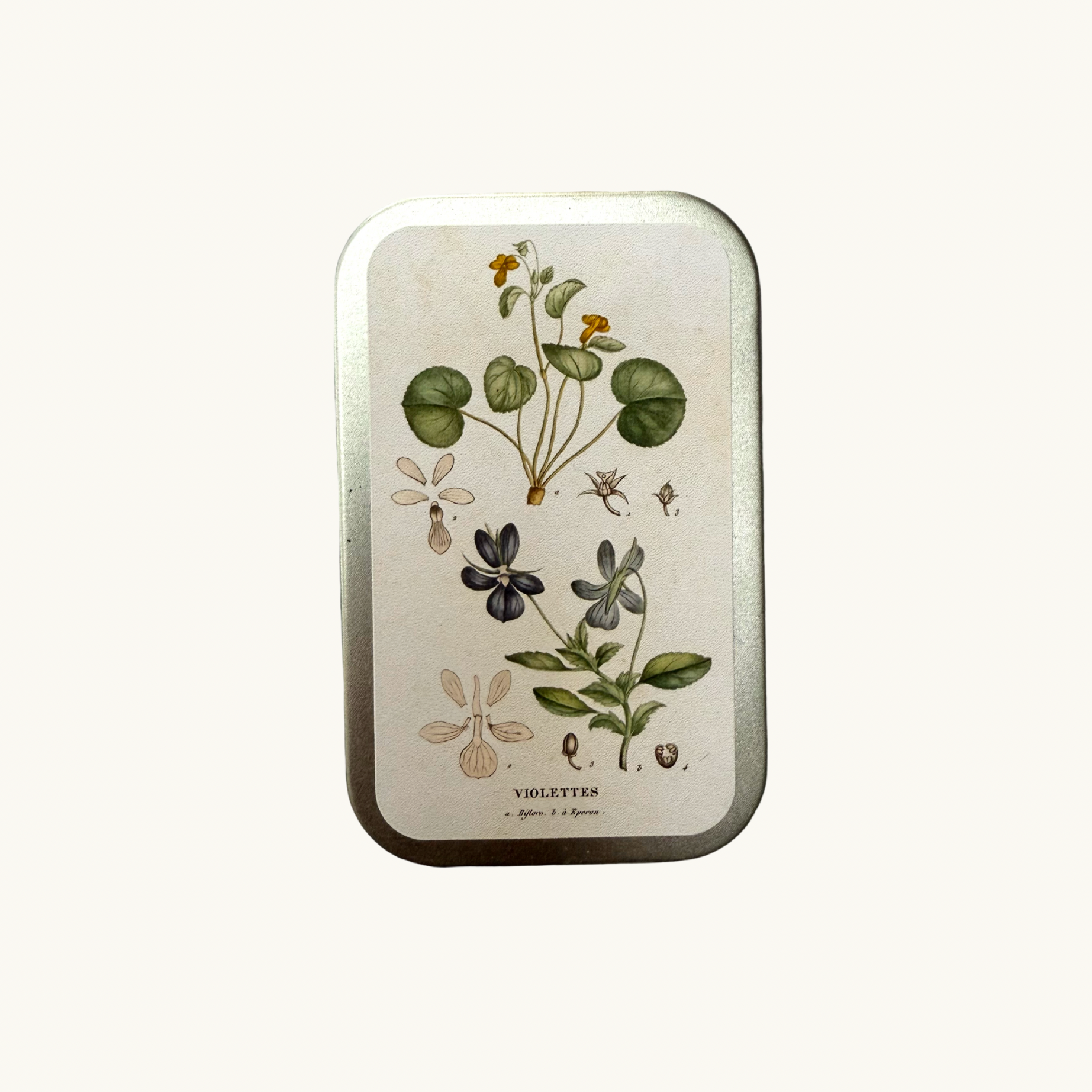 Vintage Violet Pastille Tins