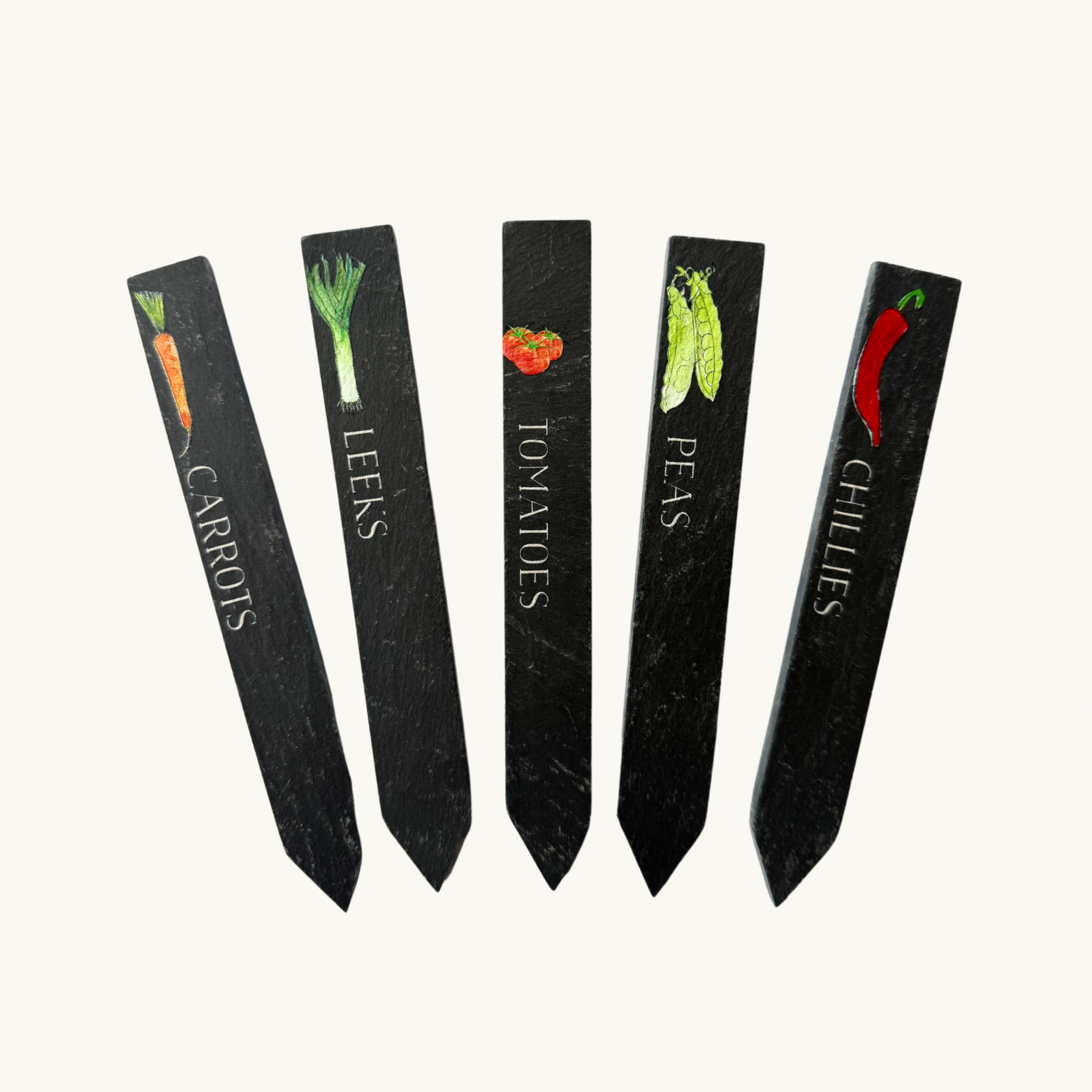 Vegetable Slate Plant Markers