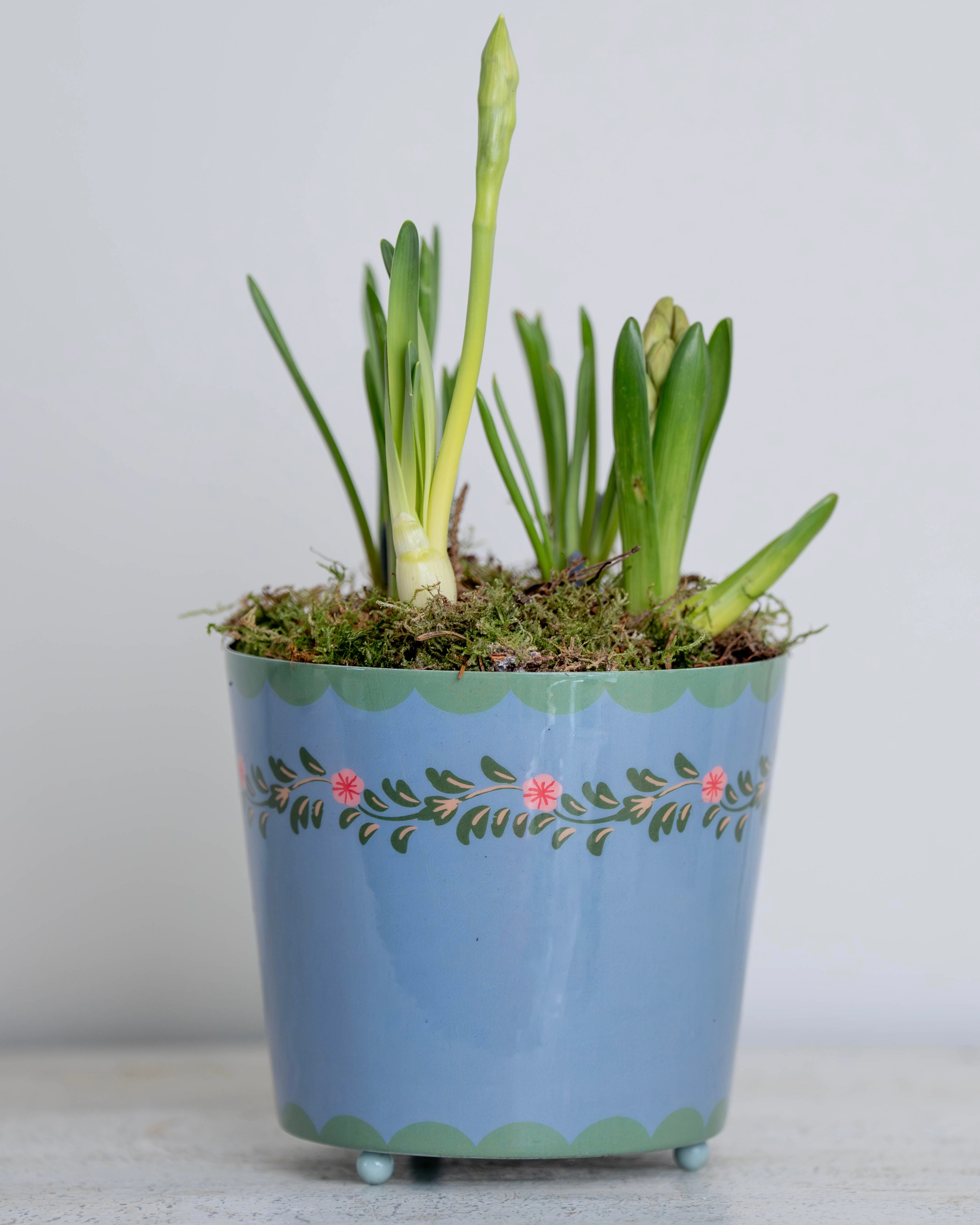 Blue Floral Scalloped Planter