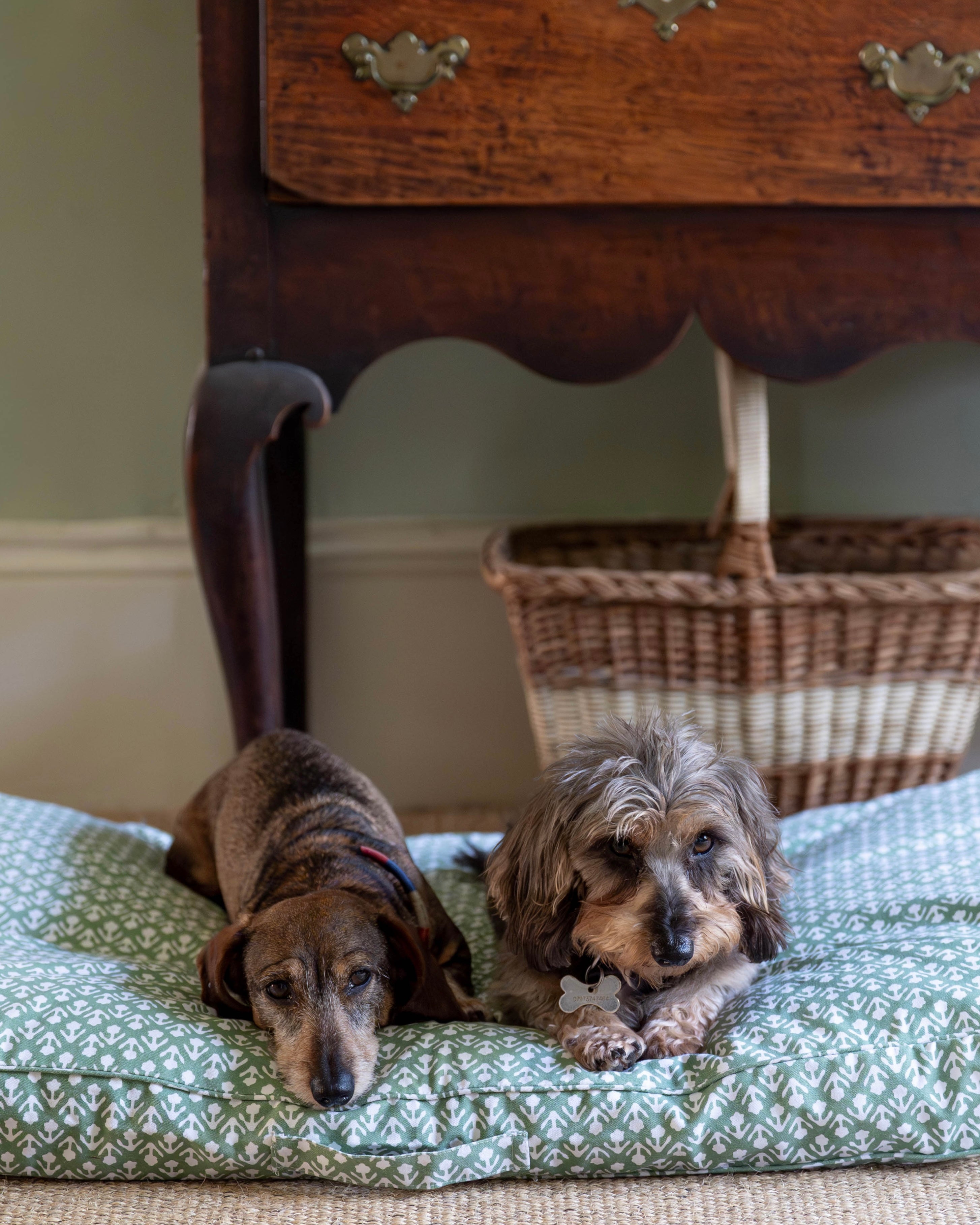 Green Bhuti Dog Bed