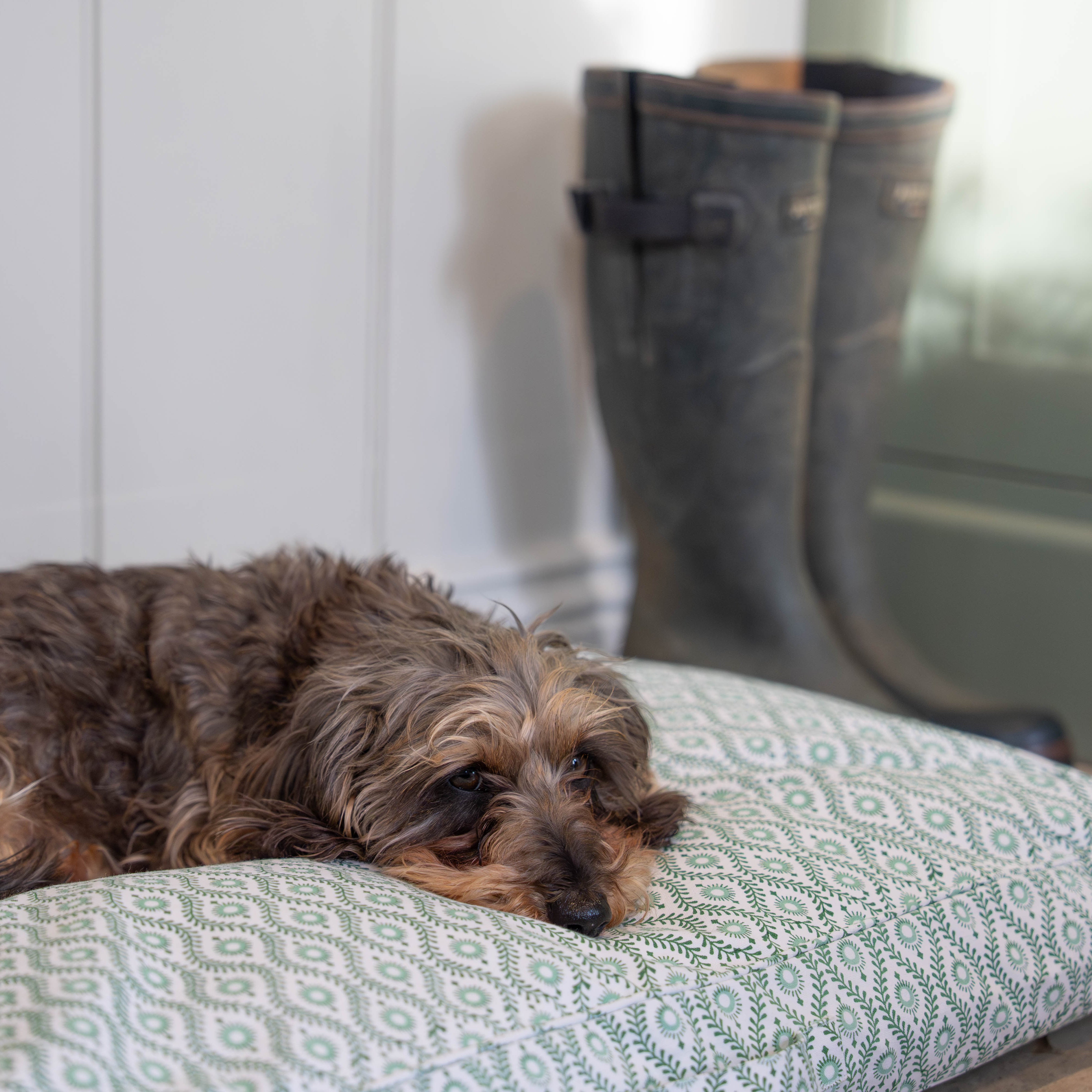 Green Mila Dog Bed
