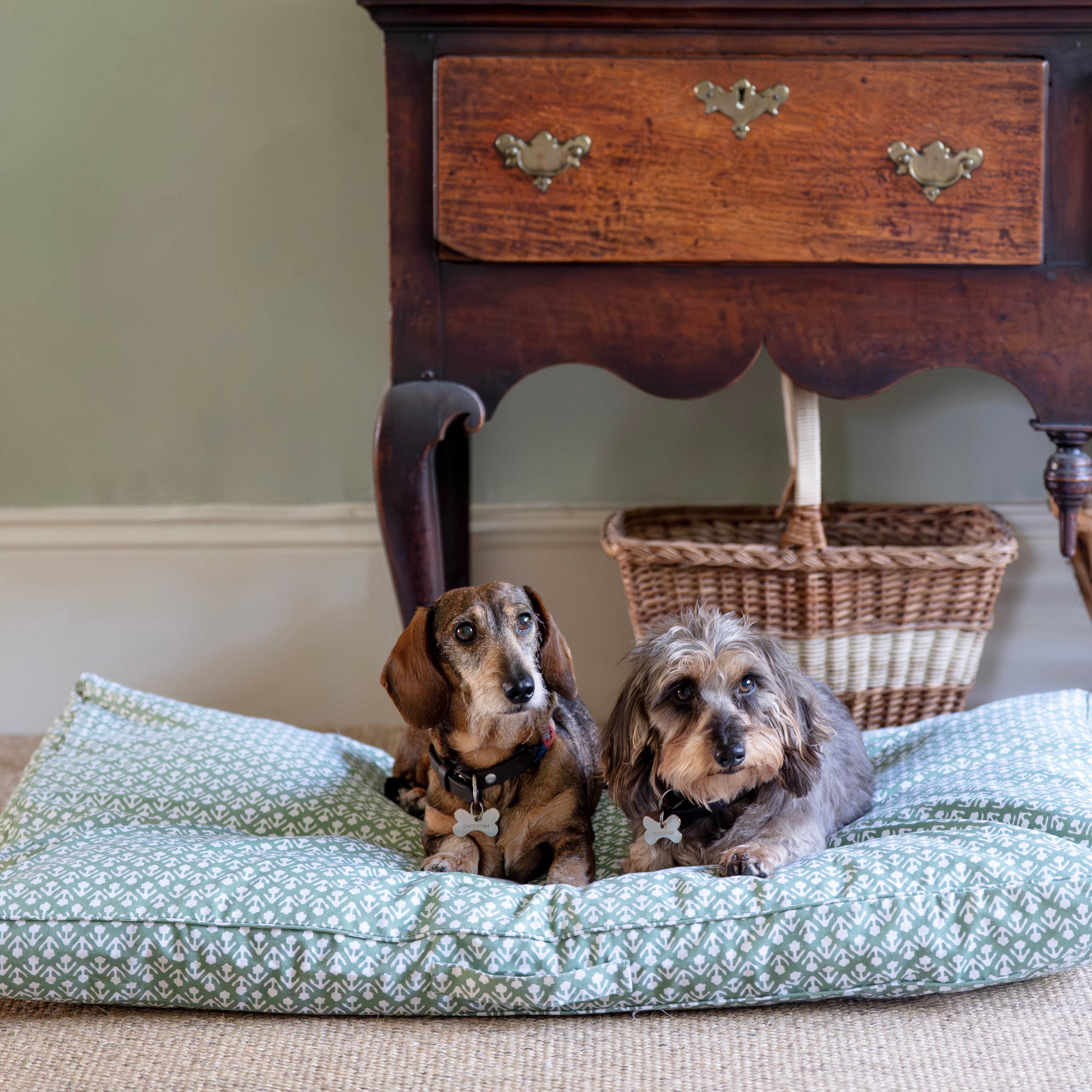 Green Bhuti Dog Bed