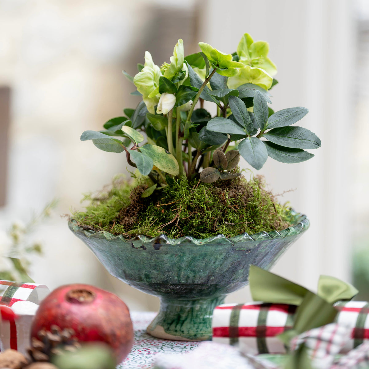 Tamegroute Green Pedestal Bowl (Medium)