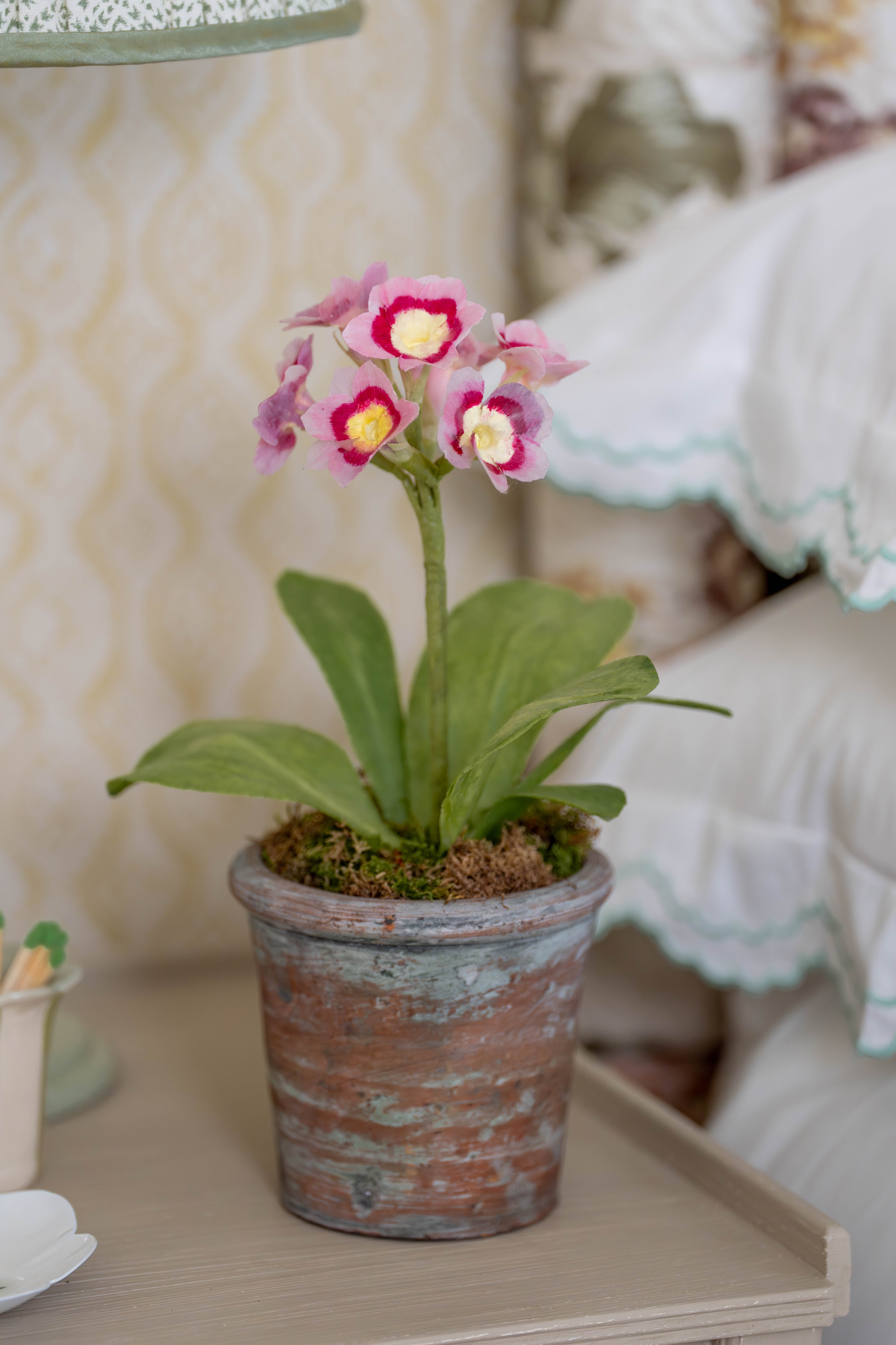 Pink Auricula Wax Paper Flower Pot