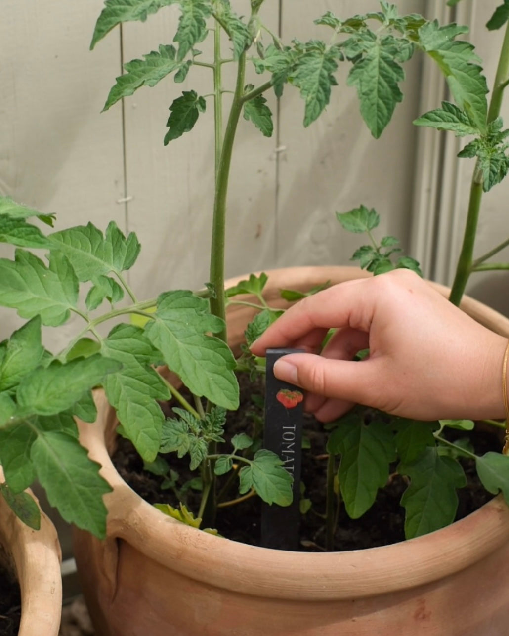 Vegetable Slate Plant Markers