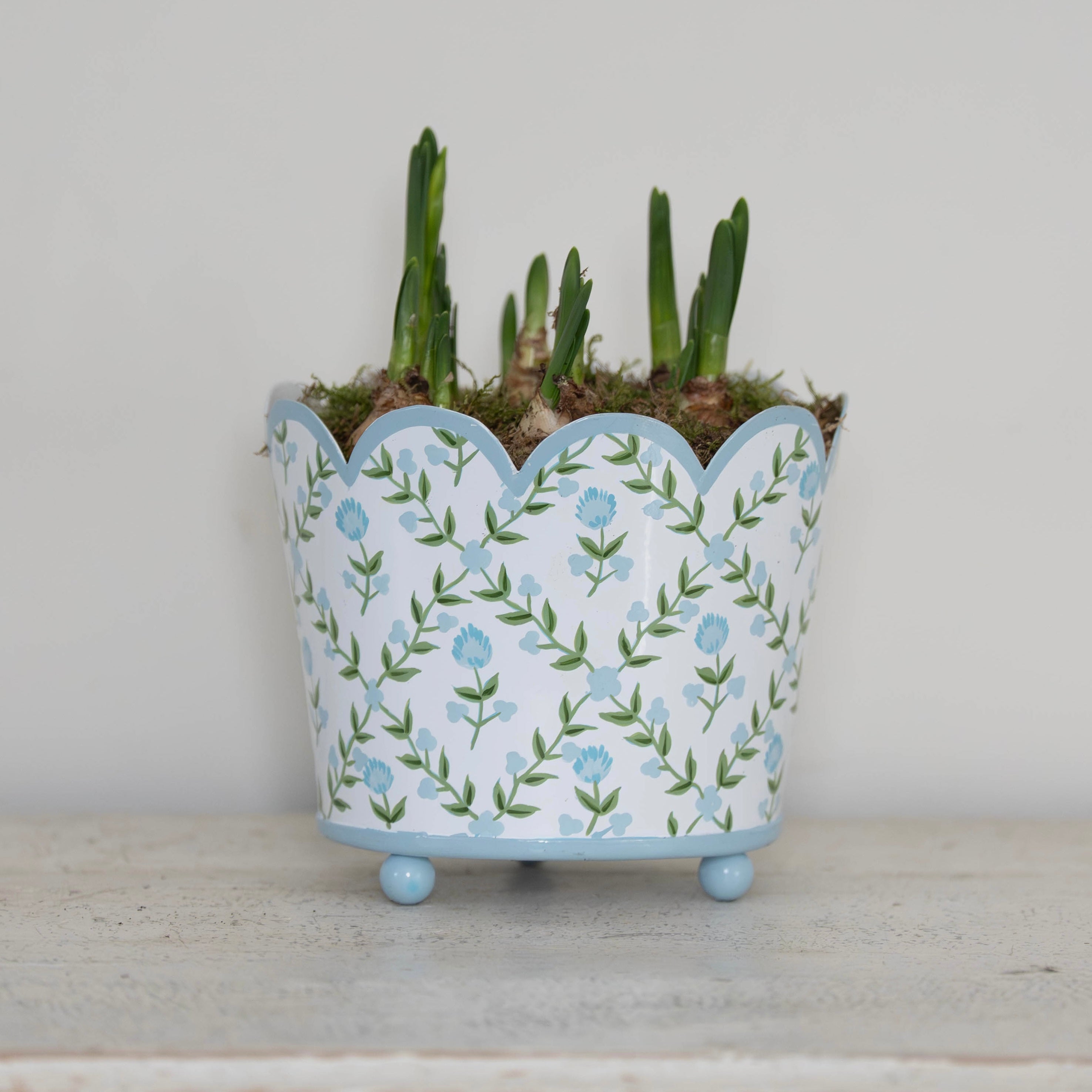 Blue Trellis Scalloped Planter