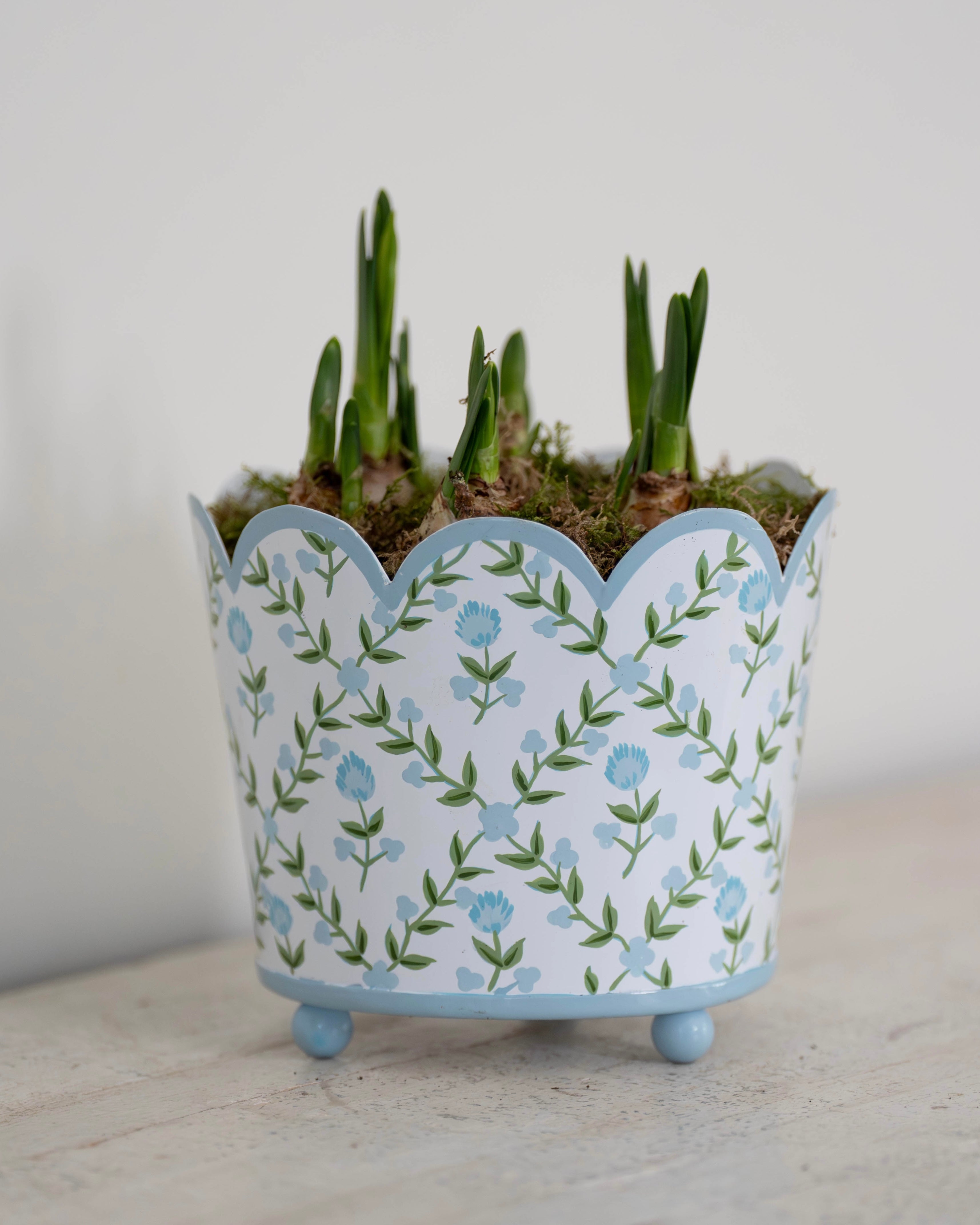 Blue Trellis Scalloped Planter