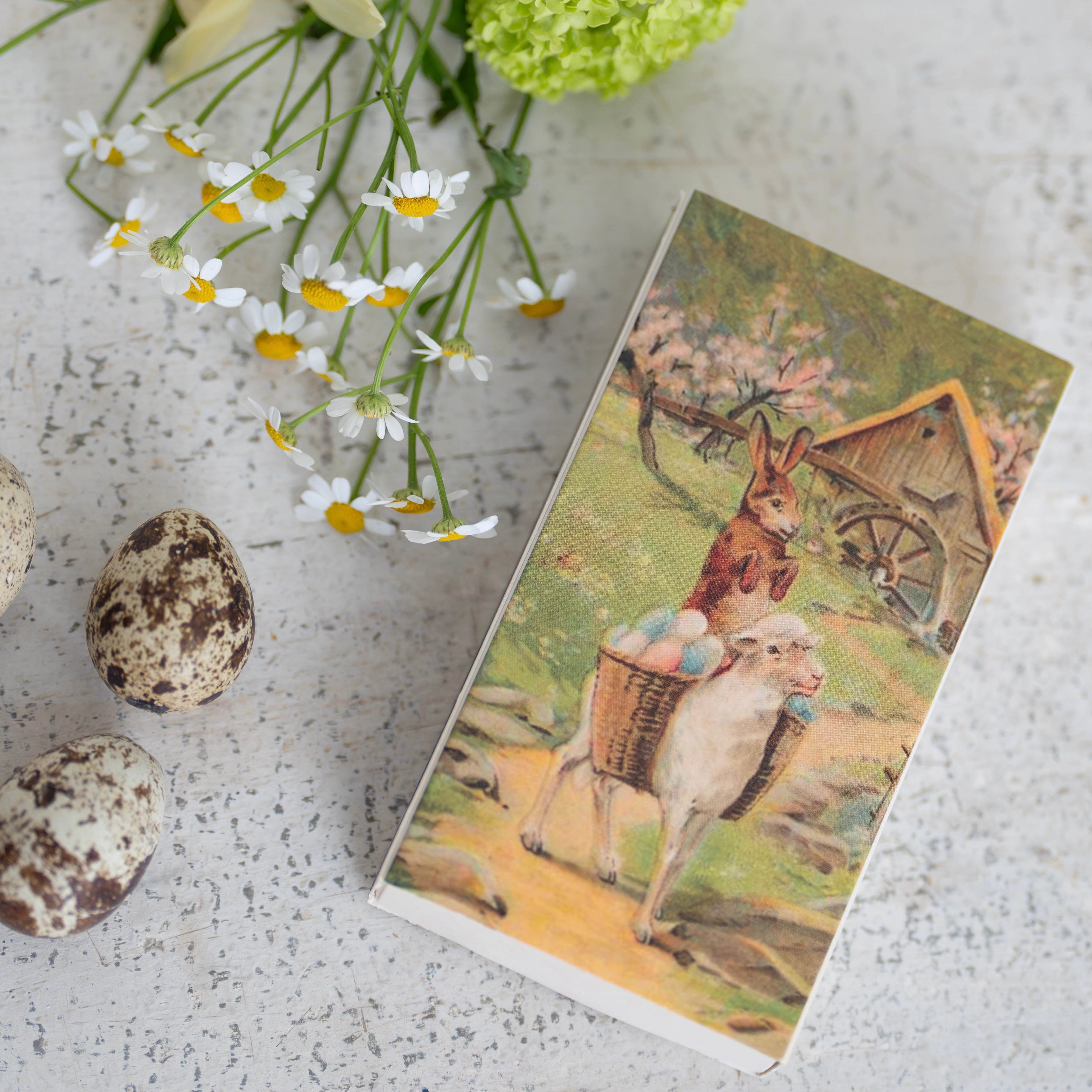 Vintage Spring Animal Matches