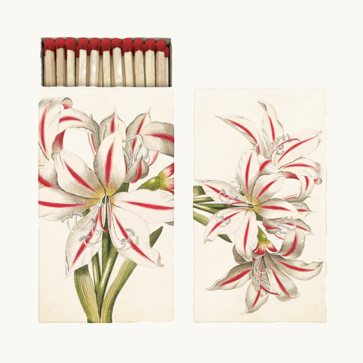 Festive Amaryllis Matches