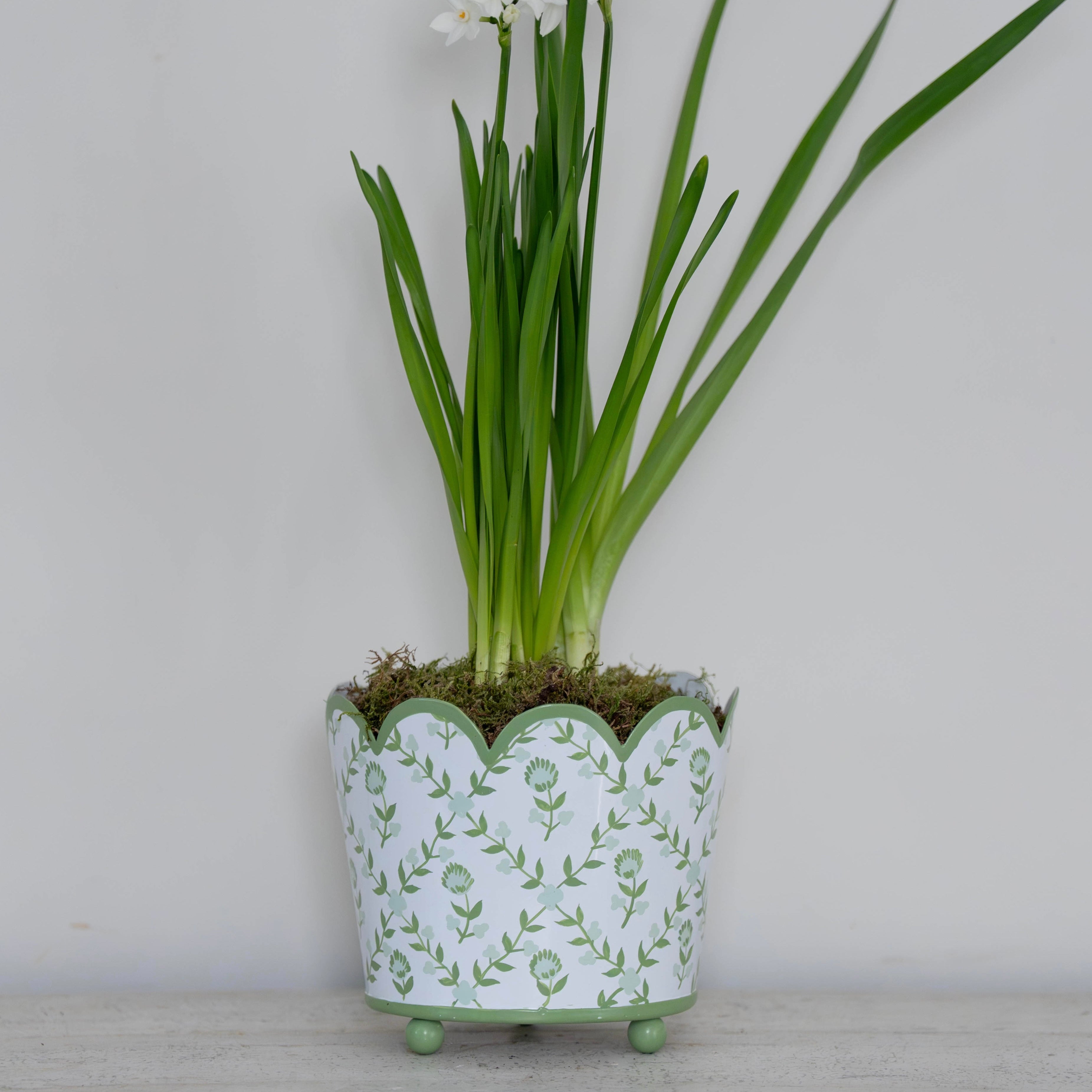 Green Trellis Scalloped Planter