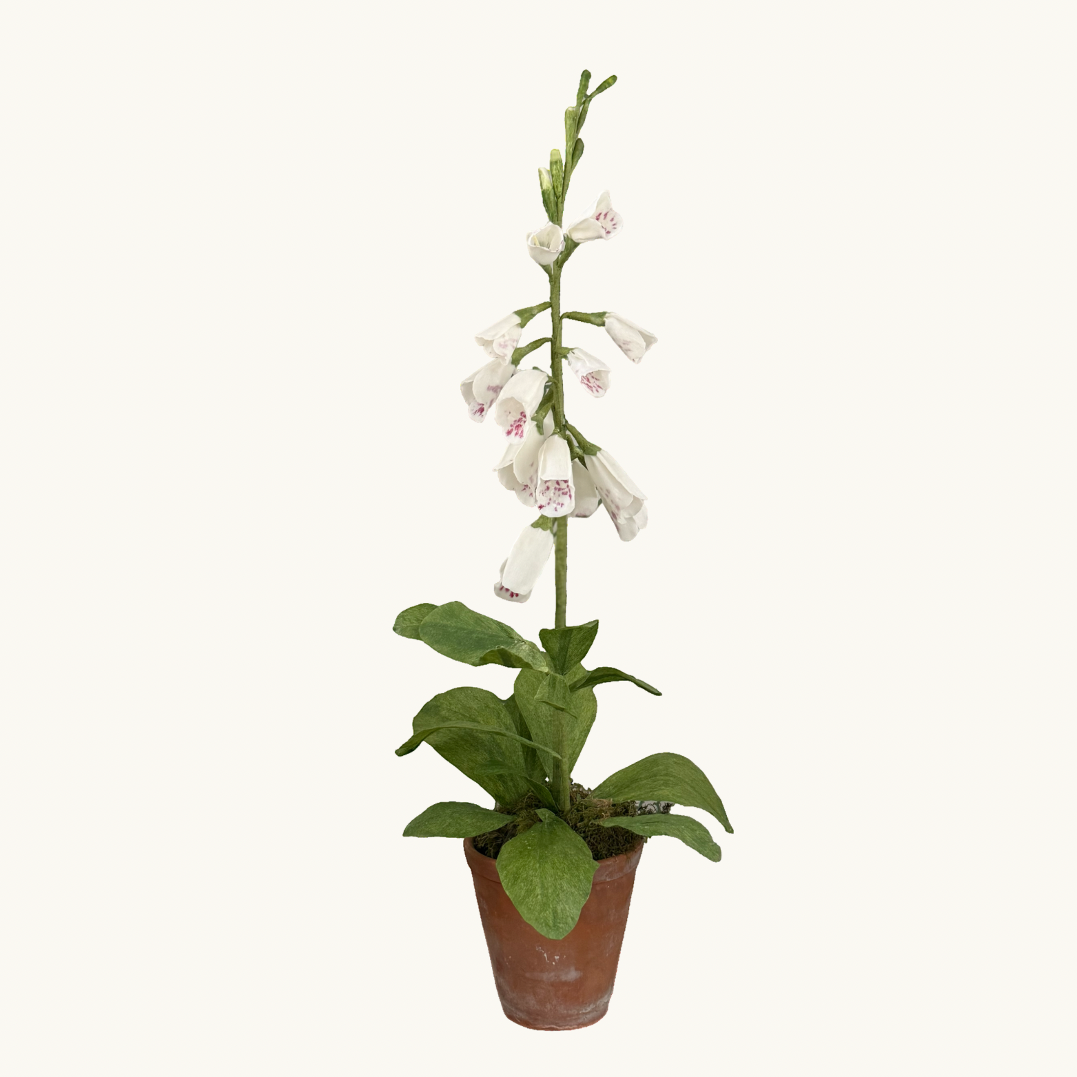 White Foxglove Wax Paper Flower Pot