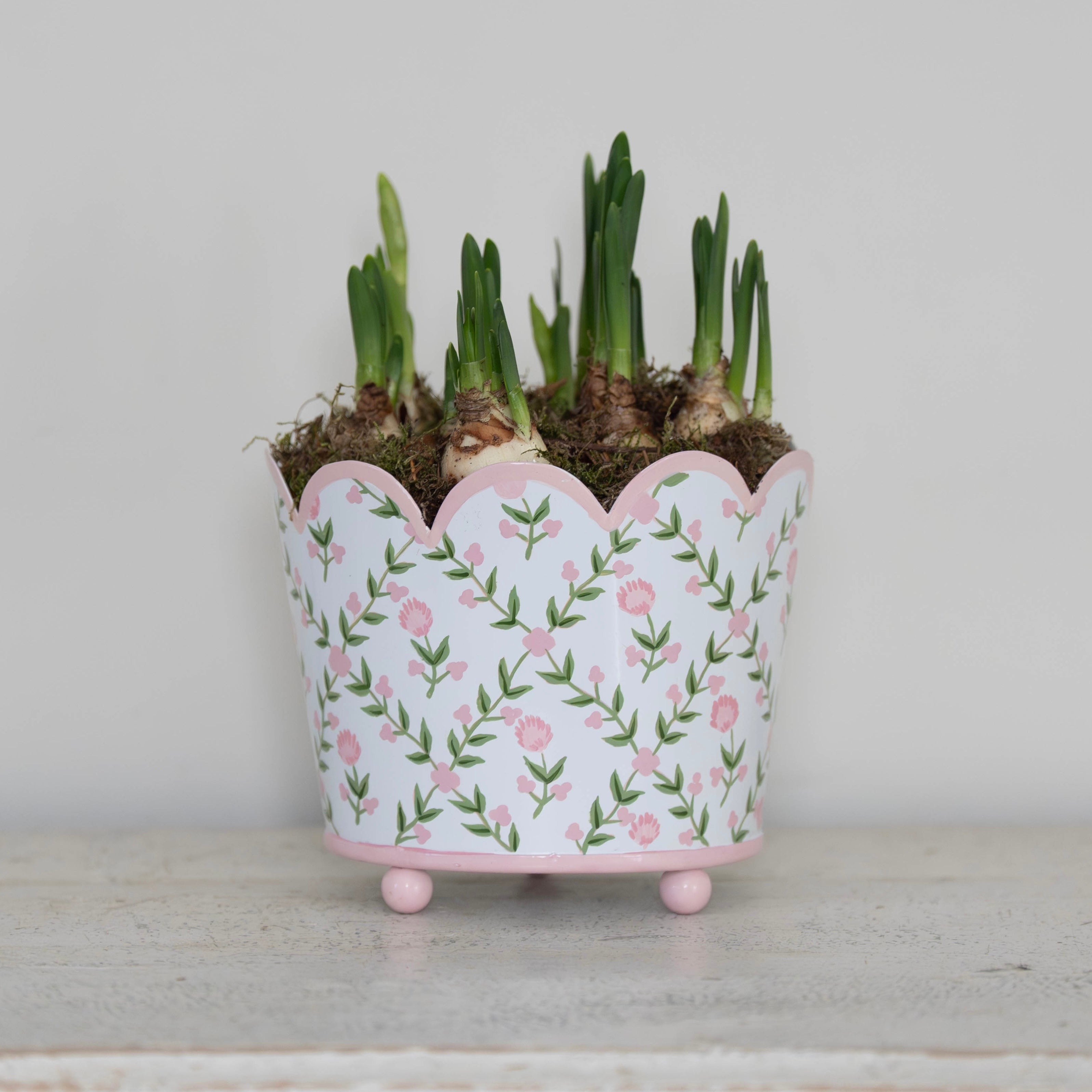 Pink Trellis Scalloped Planter