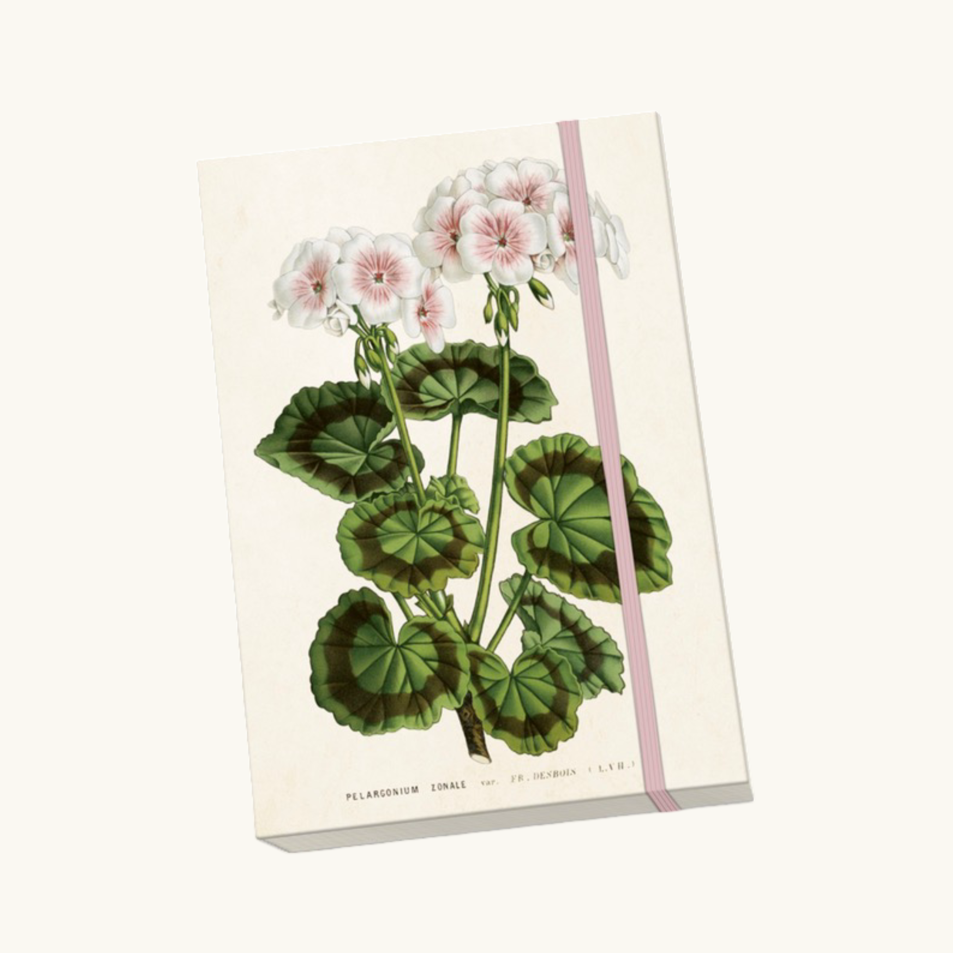 Vintage Geranium Notebook