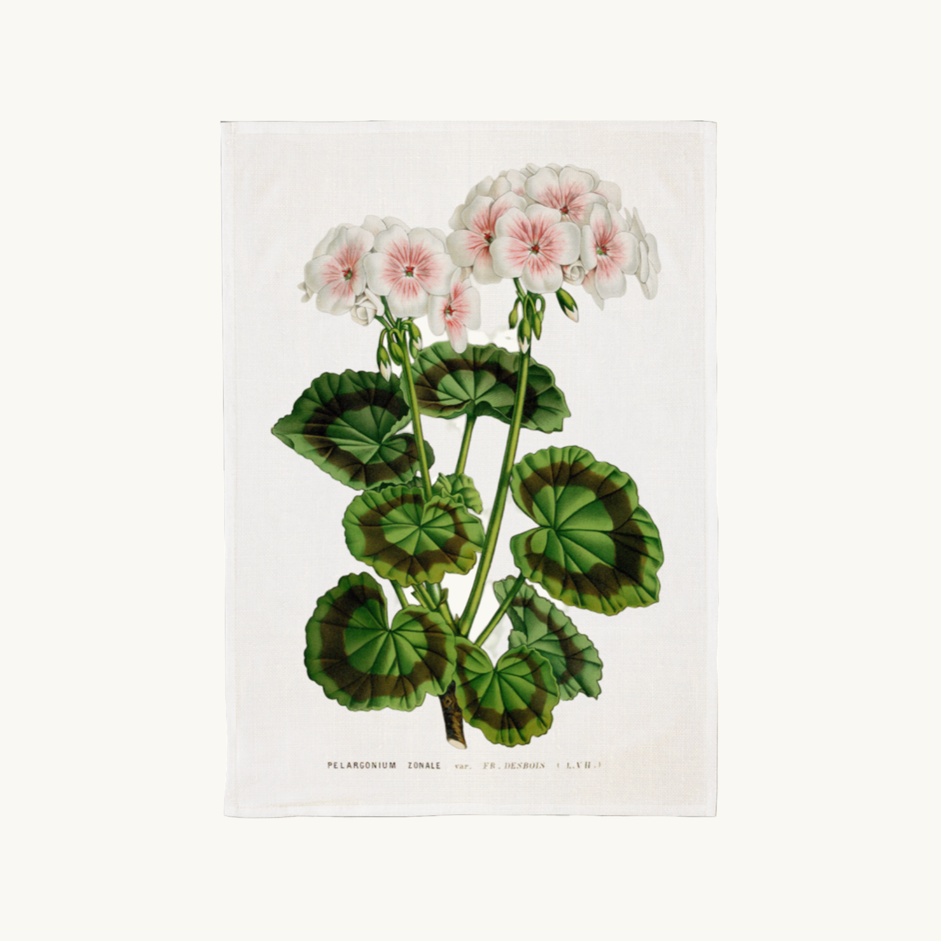 Vintage Geranium Tea Towel