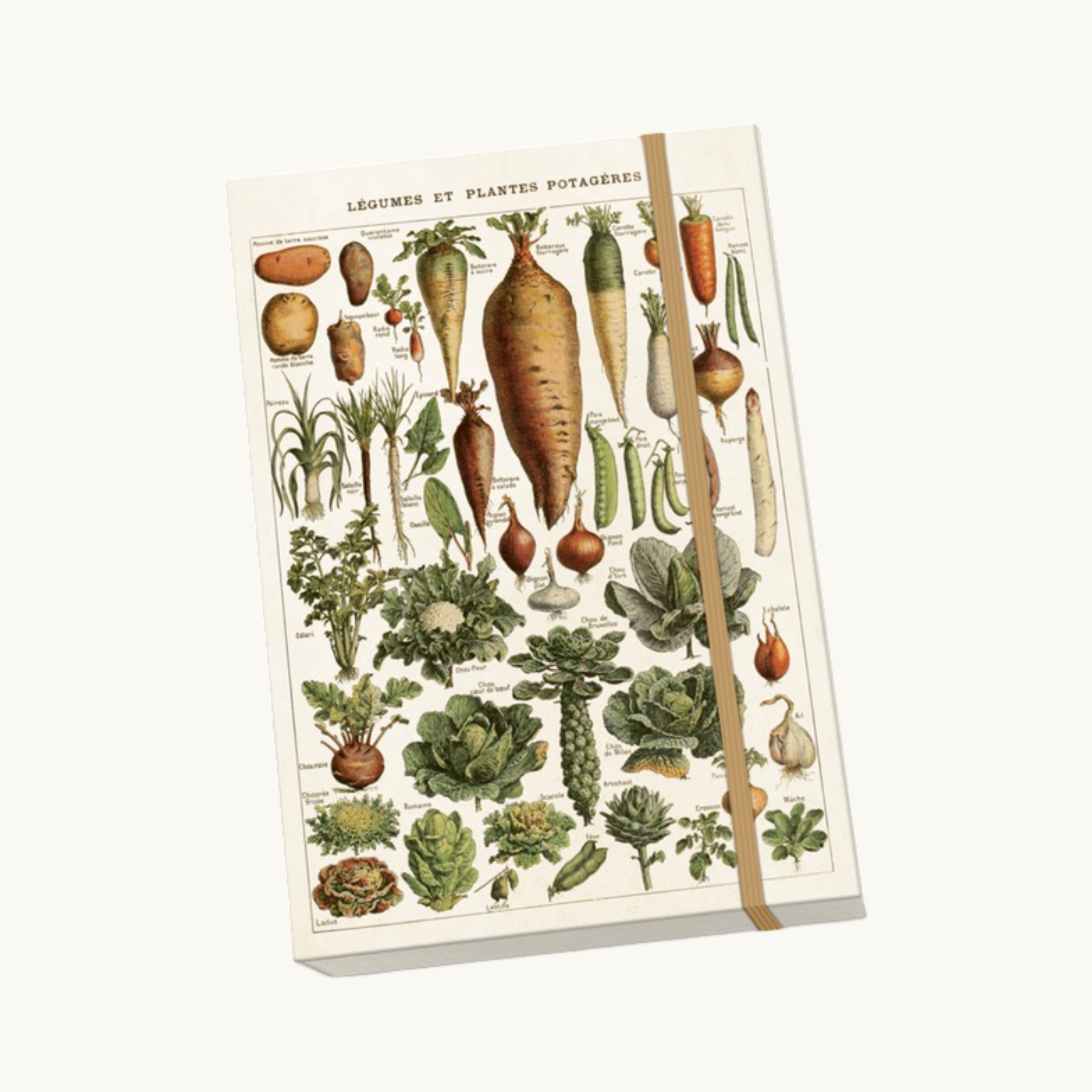 Vintage Vegetable Notebook