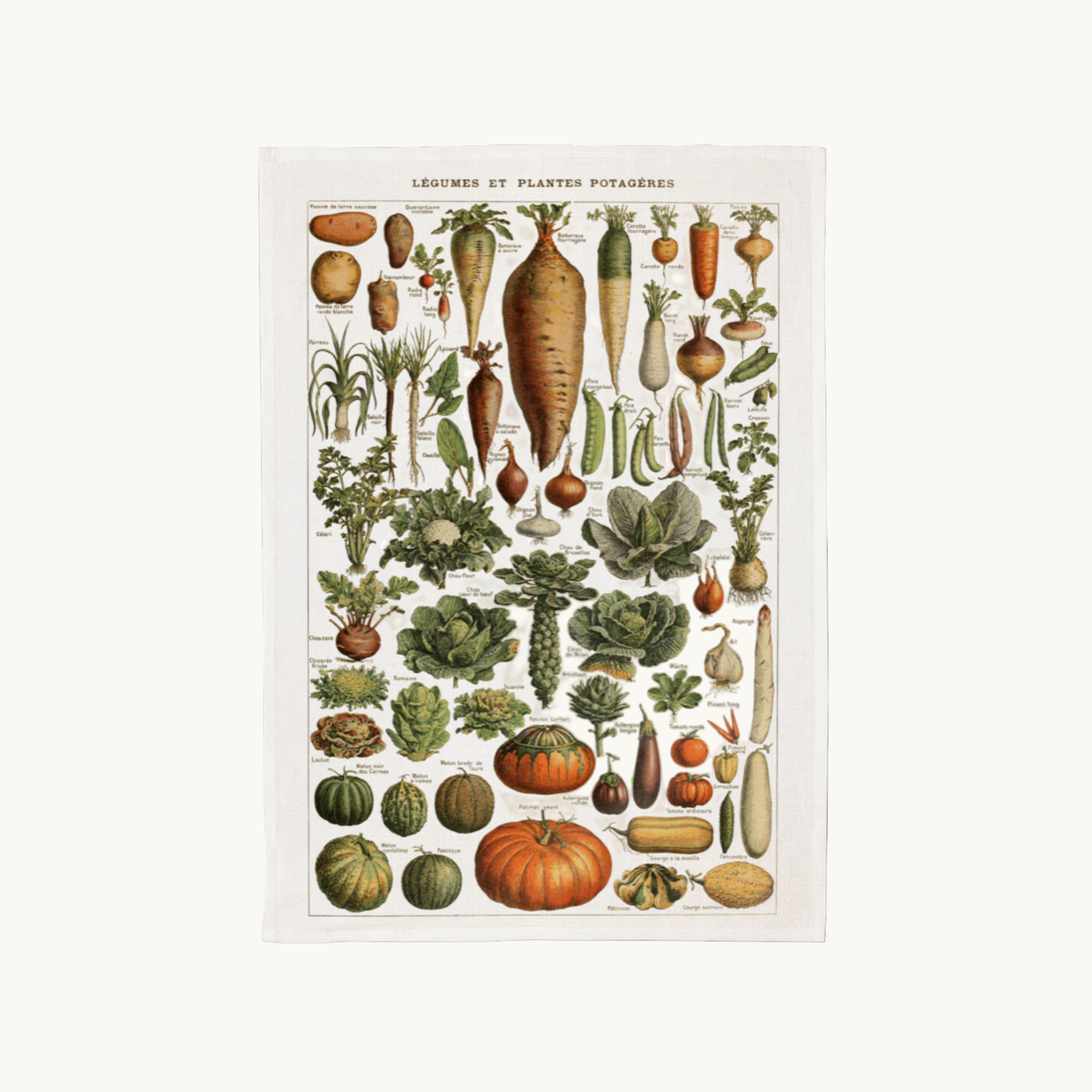 Vintage Vegetable Tea Towel