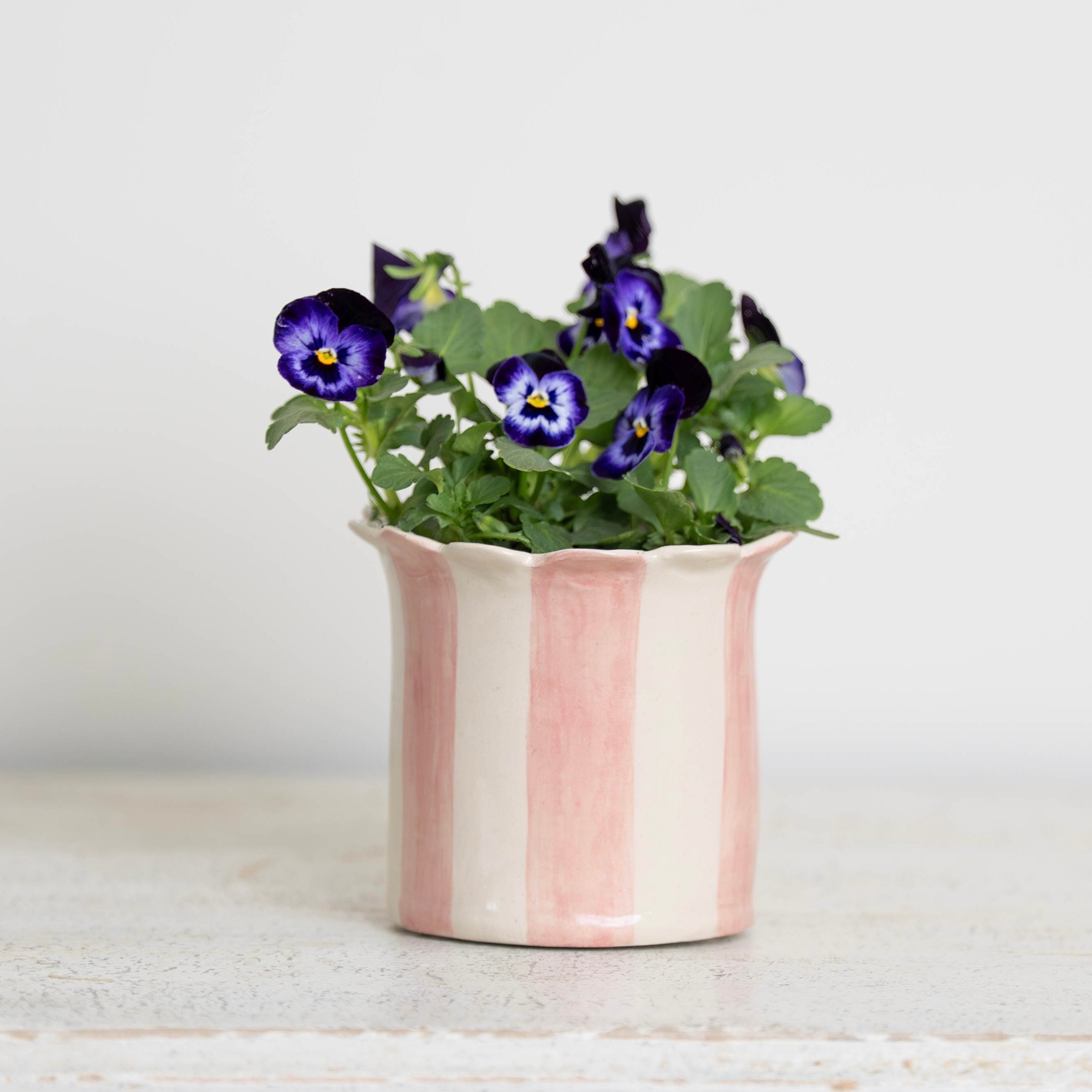 Planters