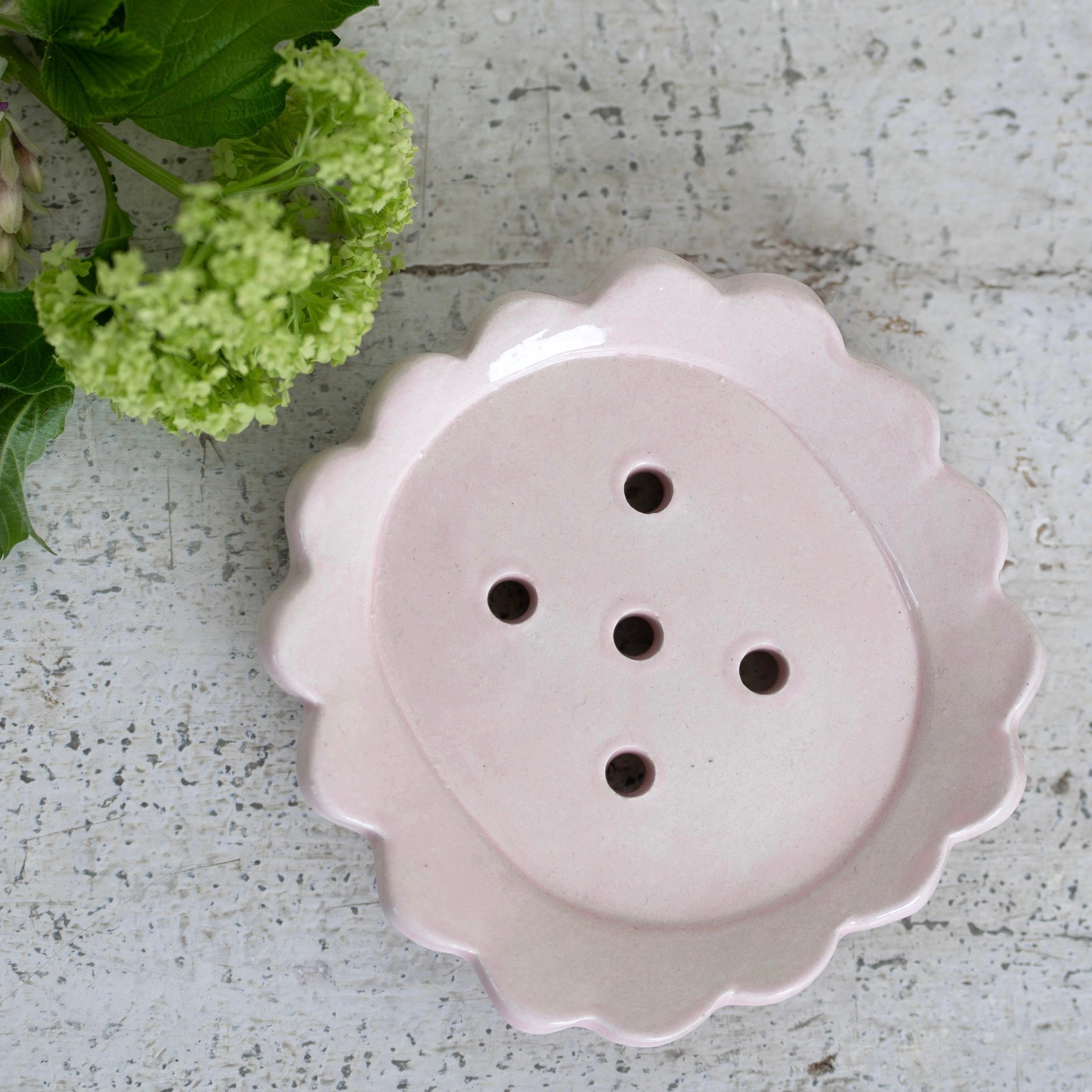 SOAP DISHES