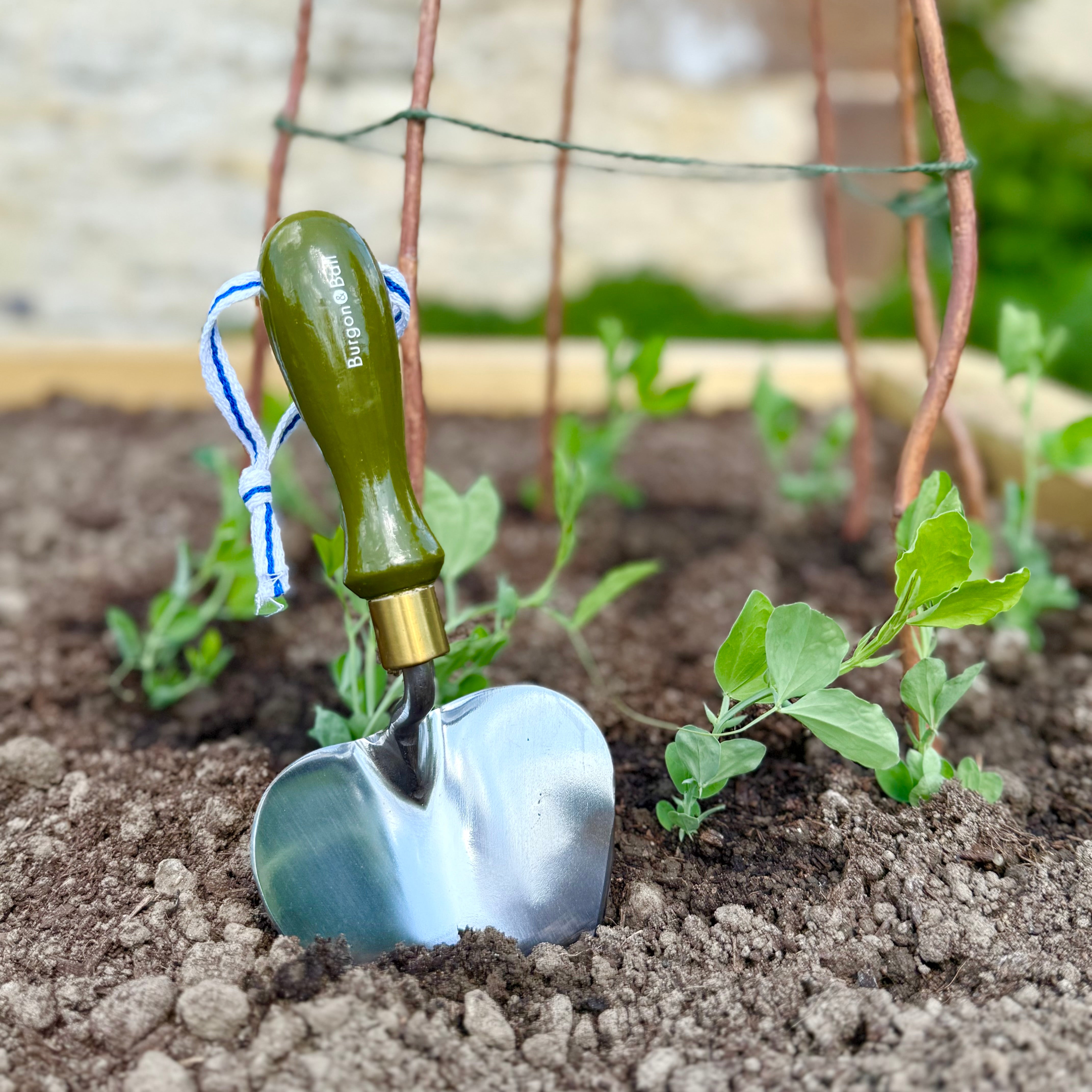 Olive Green Planting Trowel
