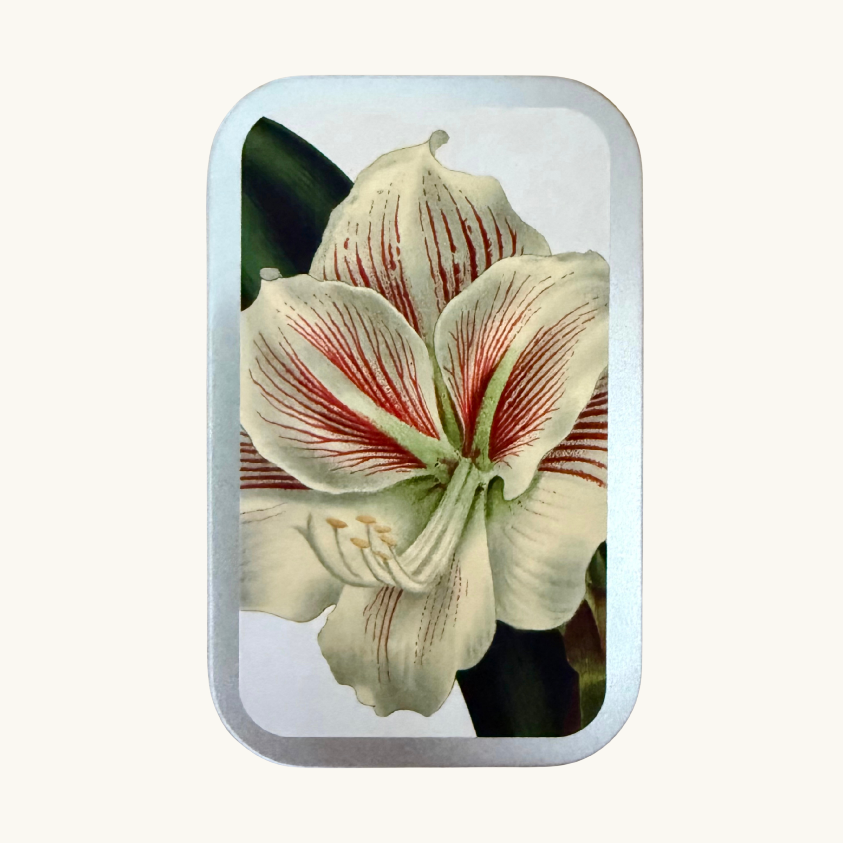 Vintage Festive Flowers Pastille Tins