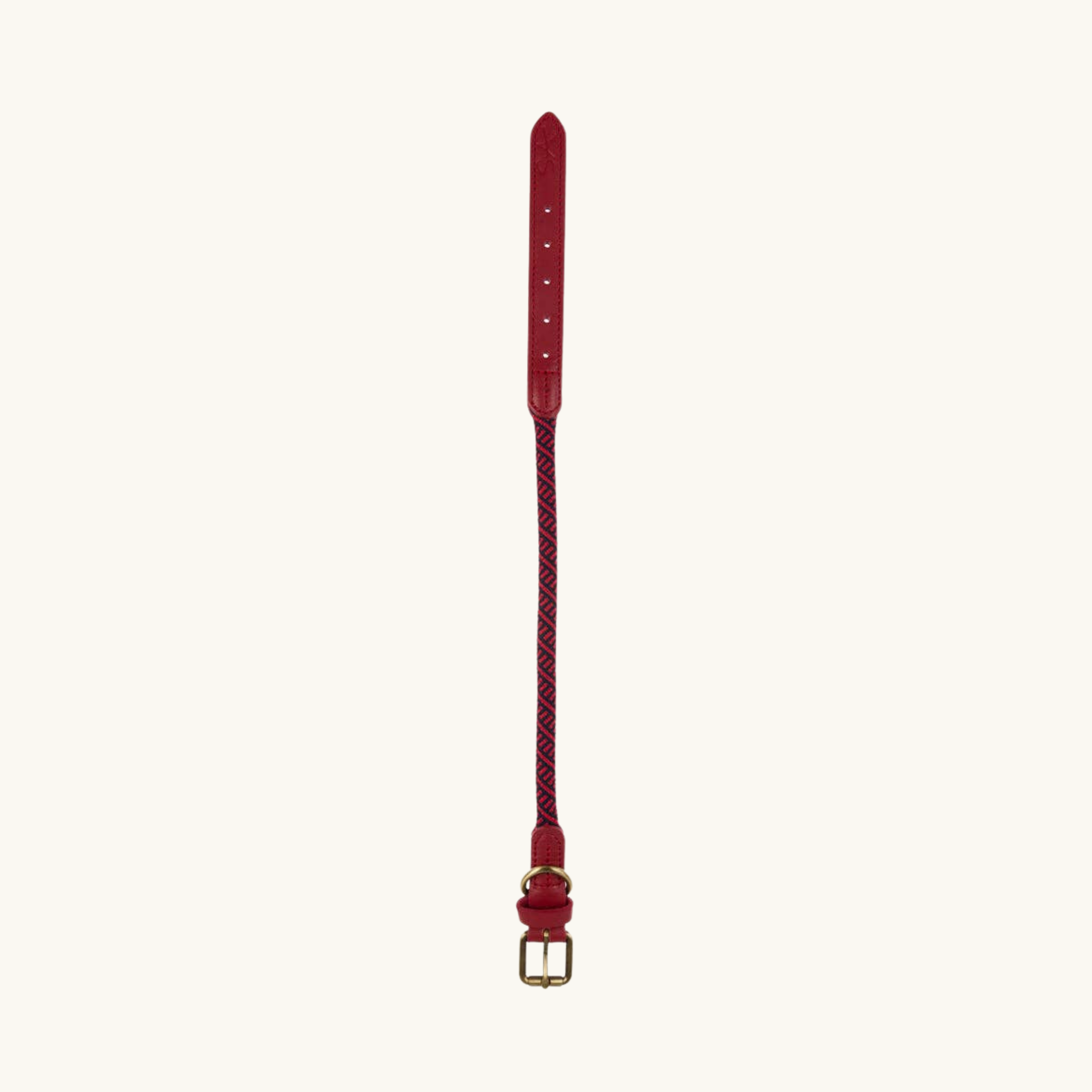Red Rope Dog Collar