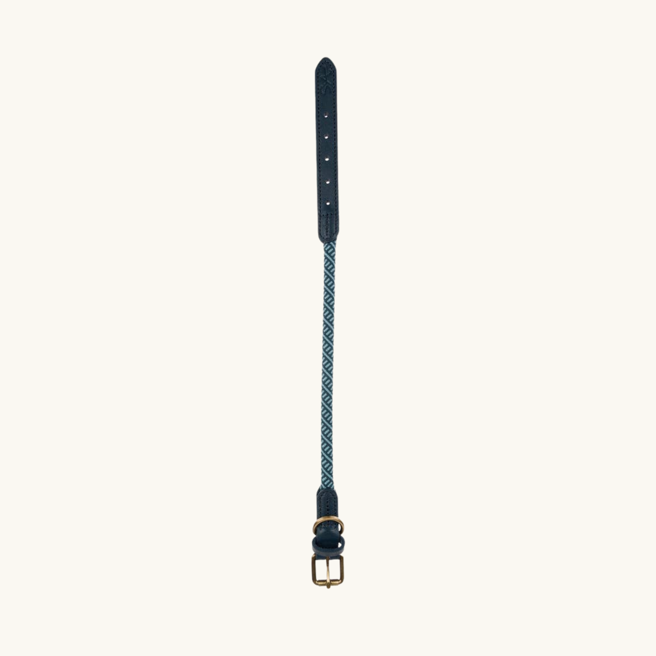 Teal Rope Dog Collar