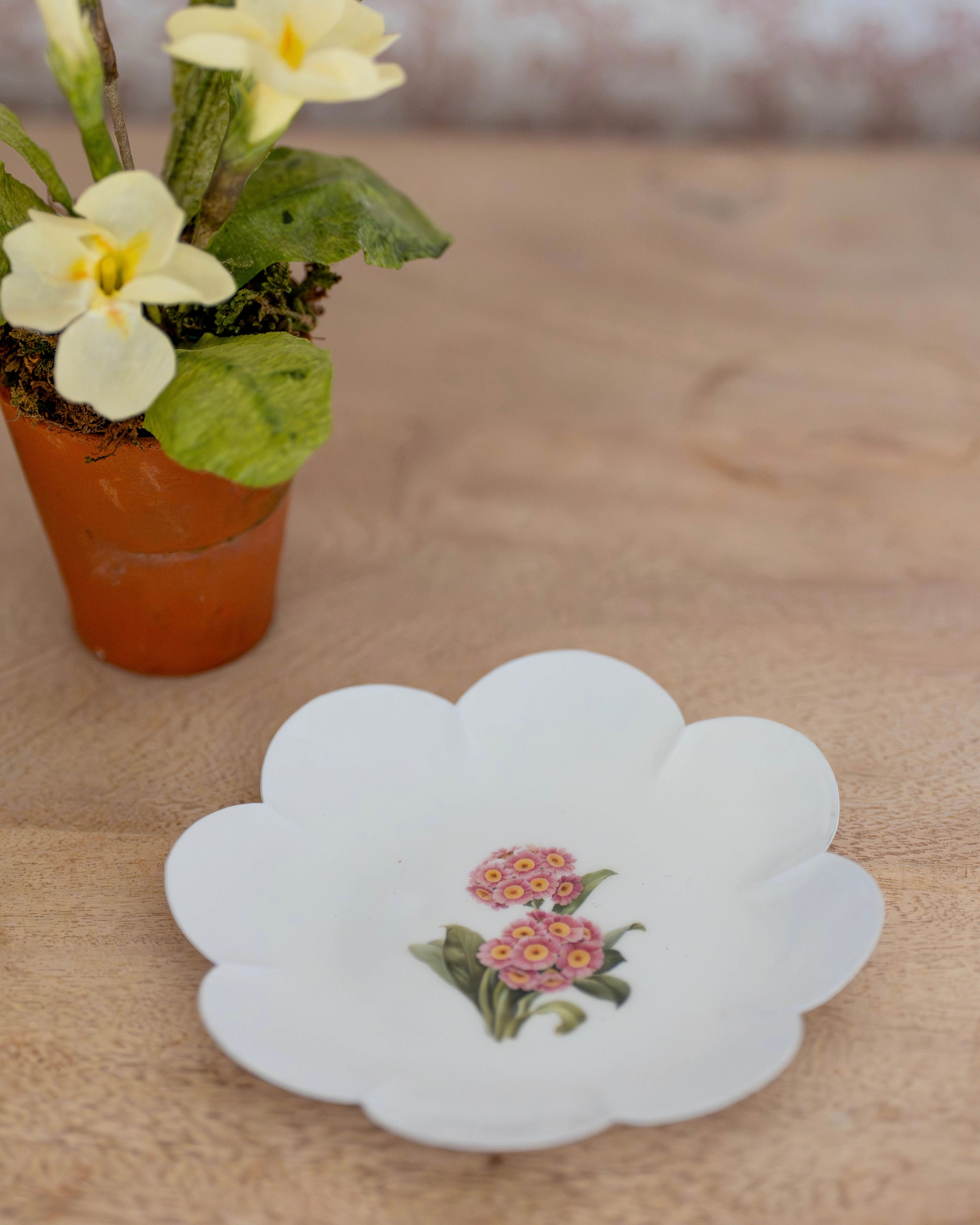 Auricula Scalloped Round Trinket Dish