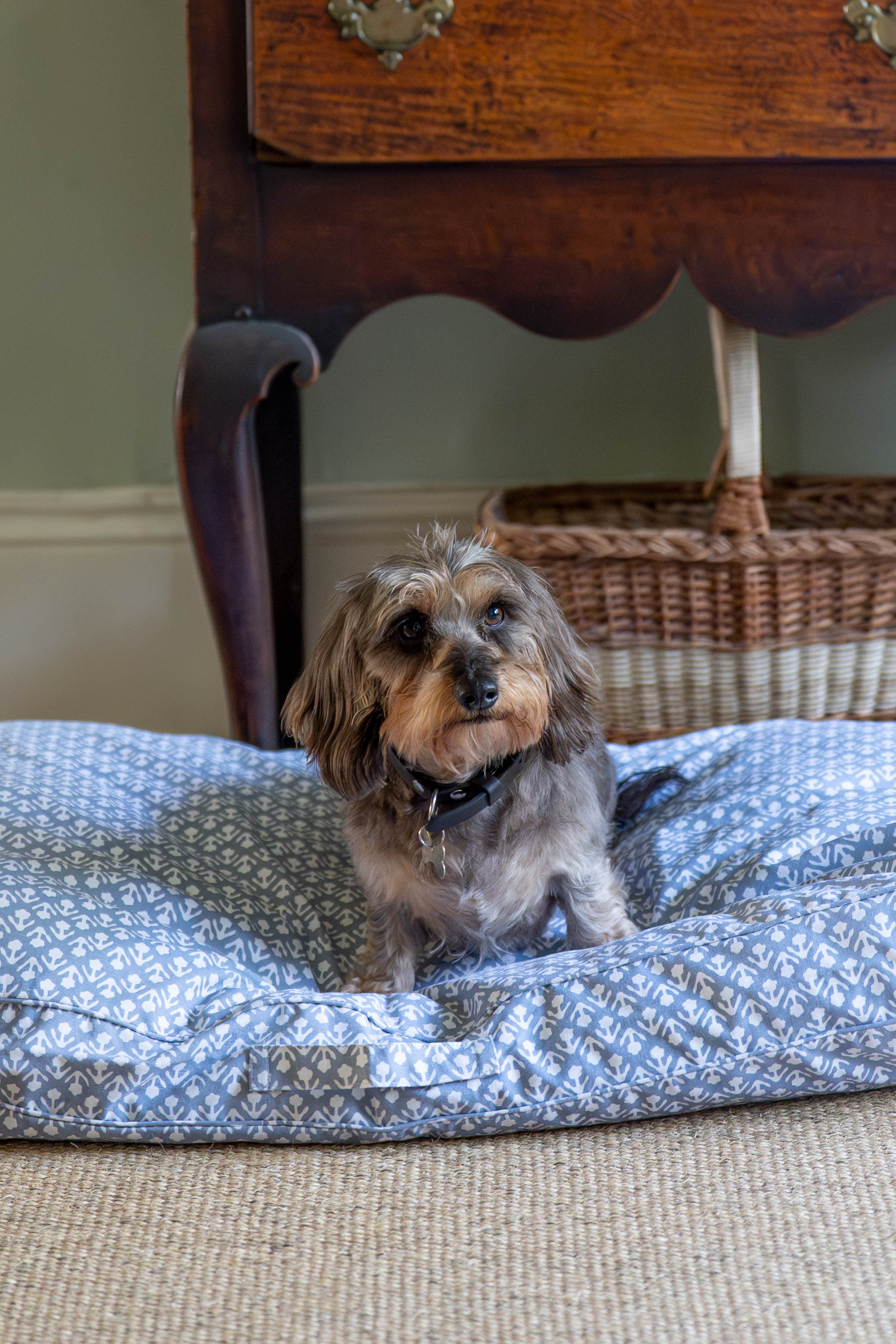 Blue Bhuti Dog Bed