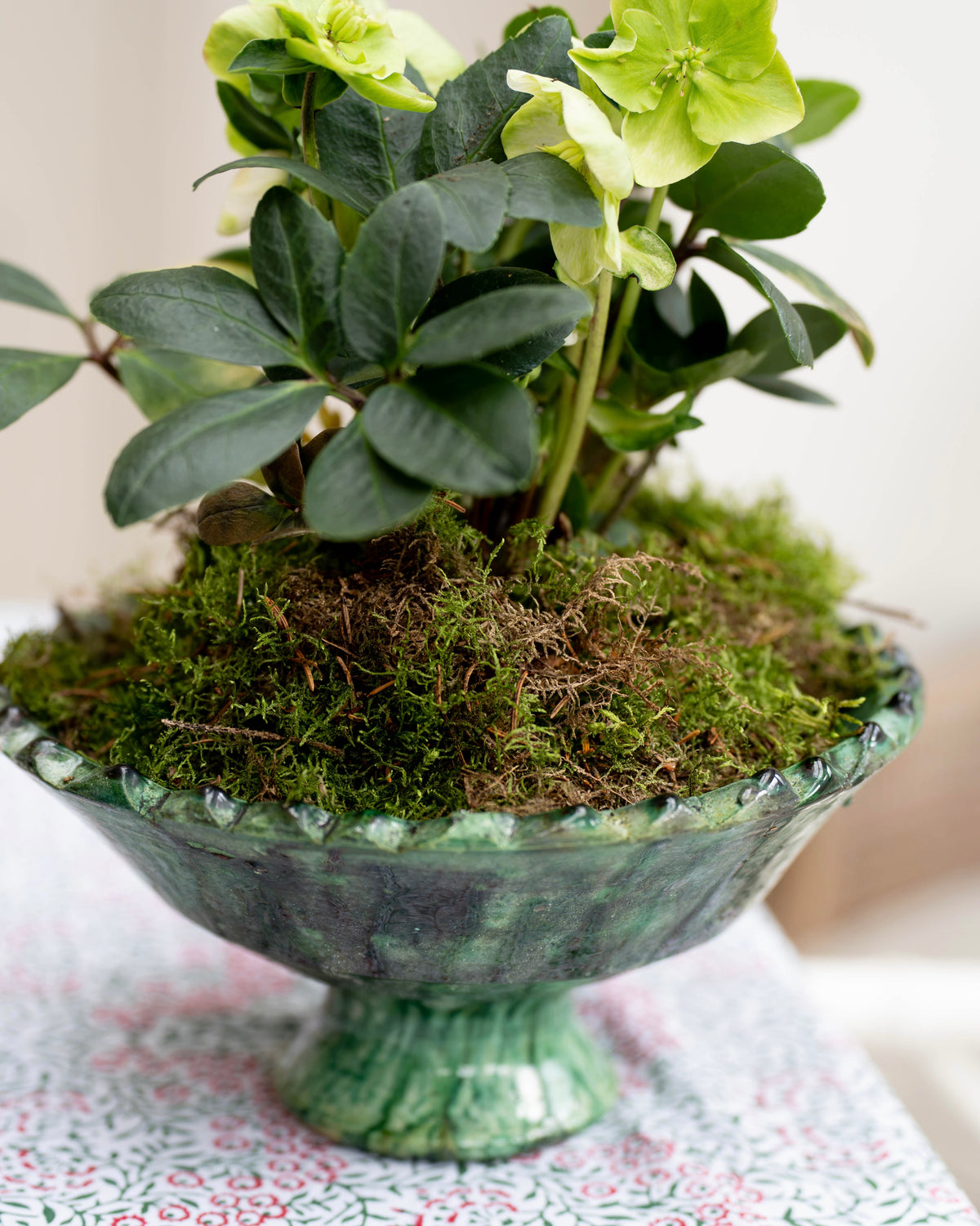 Tamegroute Green Pedestal Bowl (Medium)