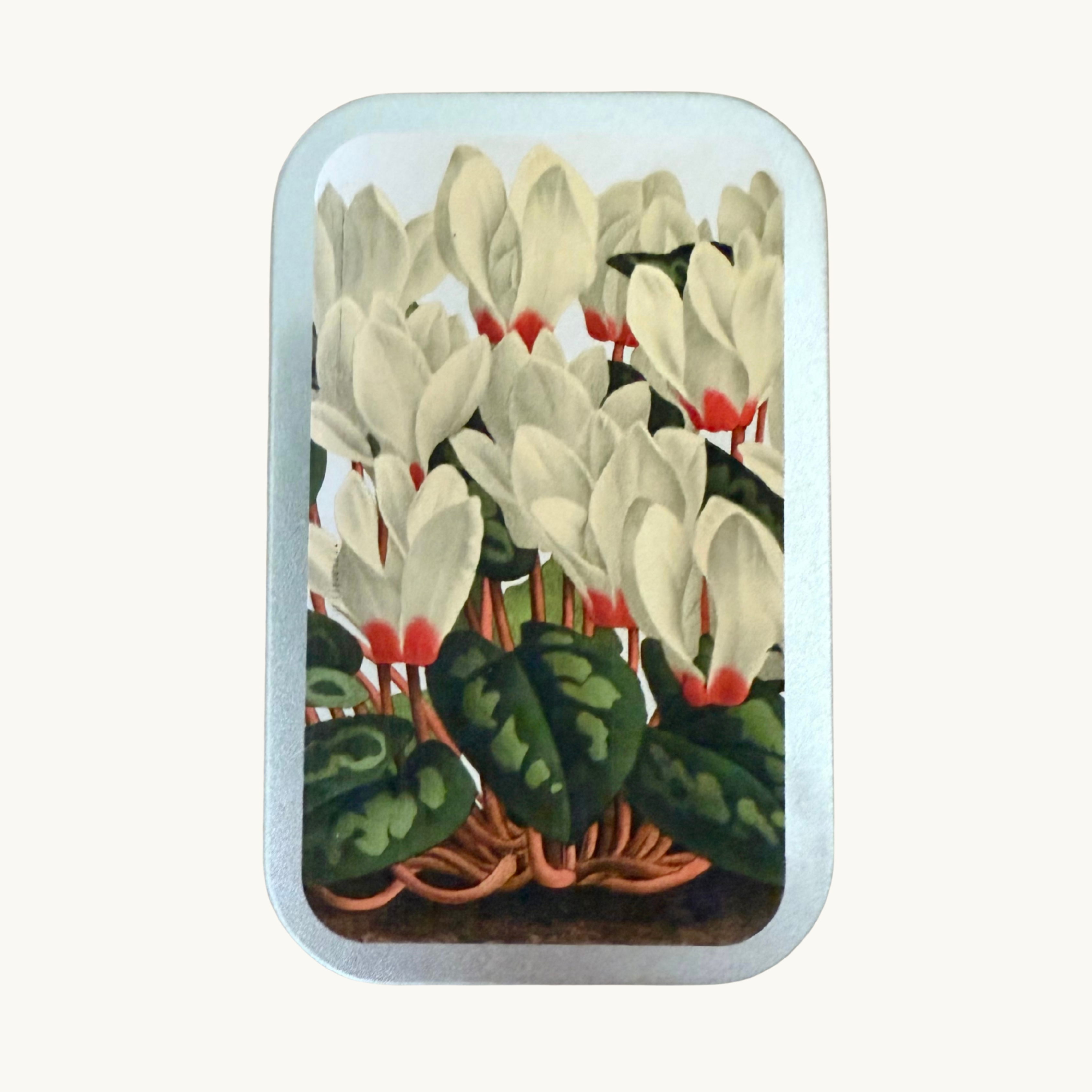 Vintage Festive Flowers Pastille Tins