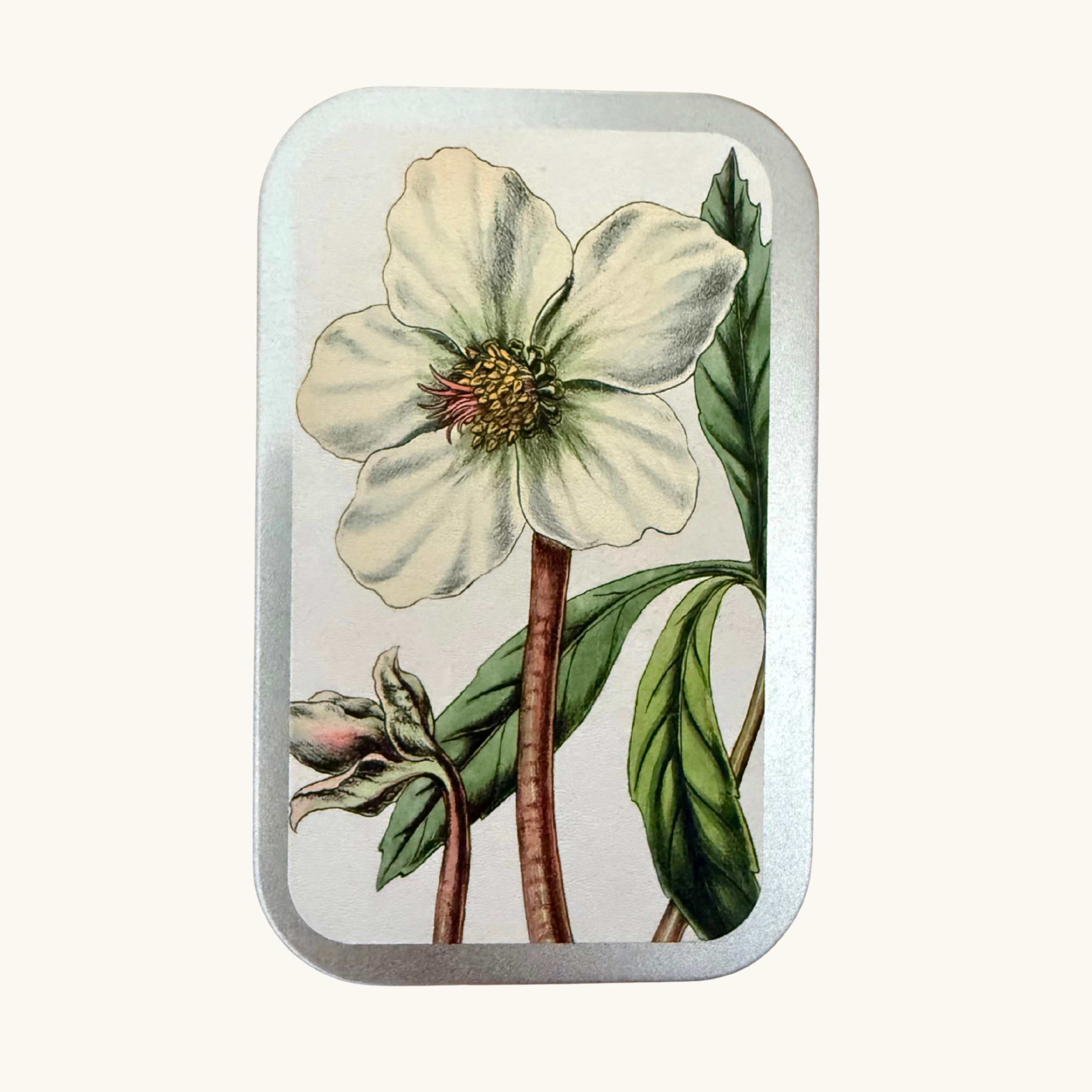 Vintage Festive Flowers Pastille Tins