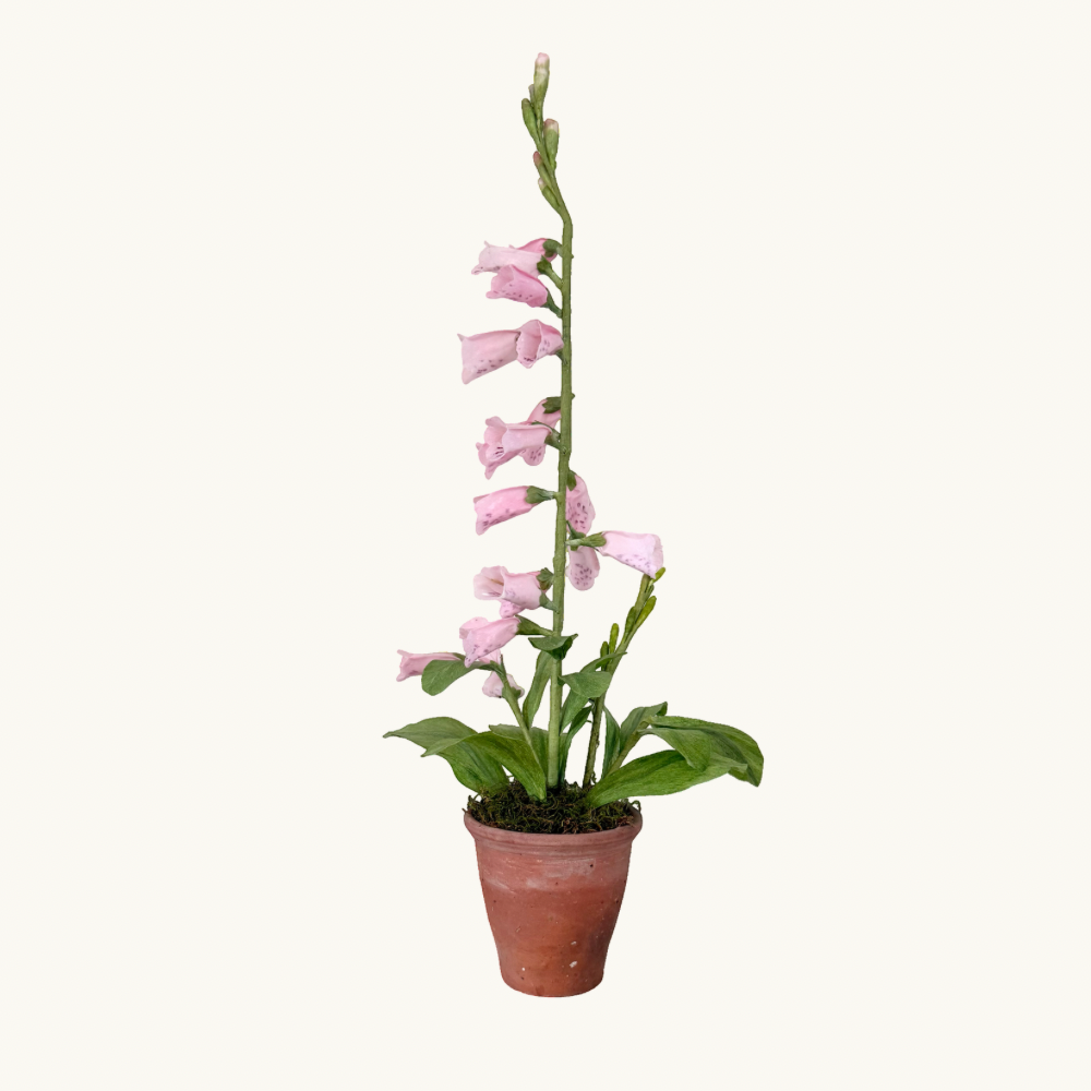 Pink Foxglove Wax Paper Flower Pot