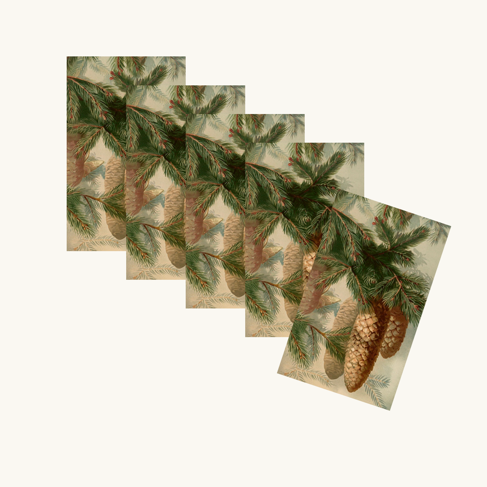 Fir Cones Gift Tags