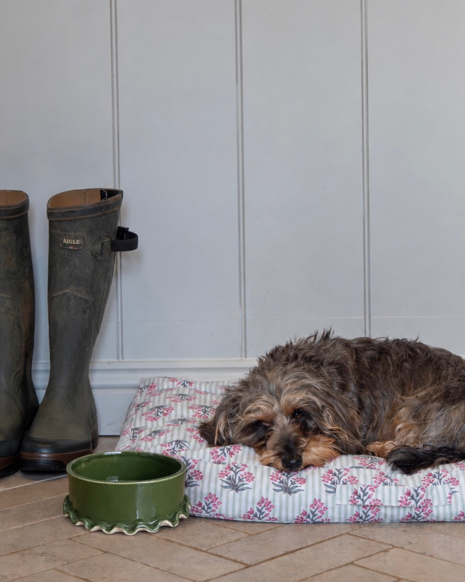 Green Frilled Ceramic Dog Bowl (Small)
