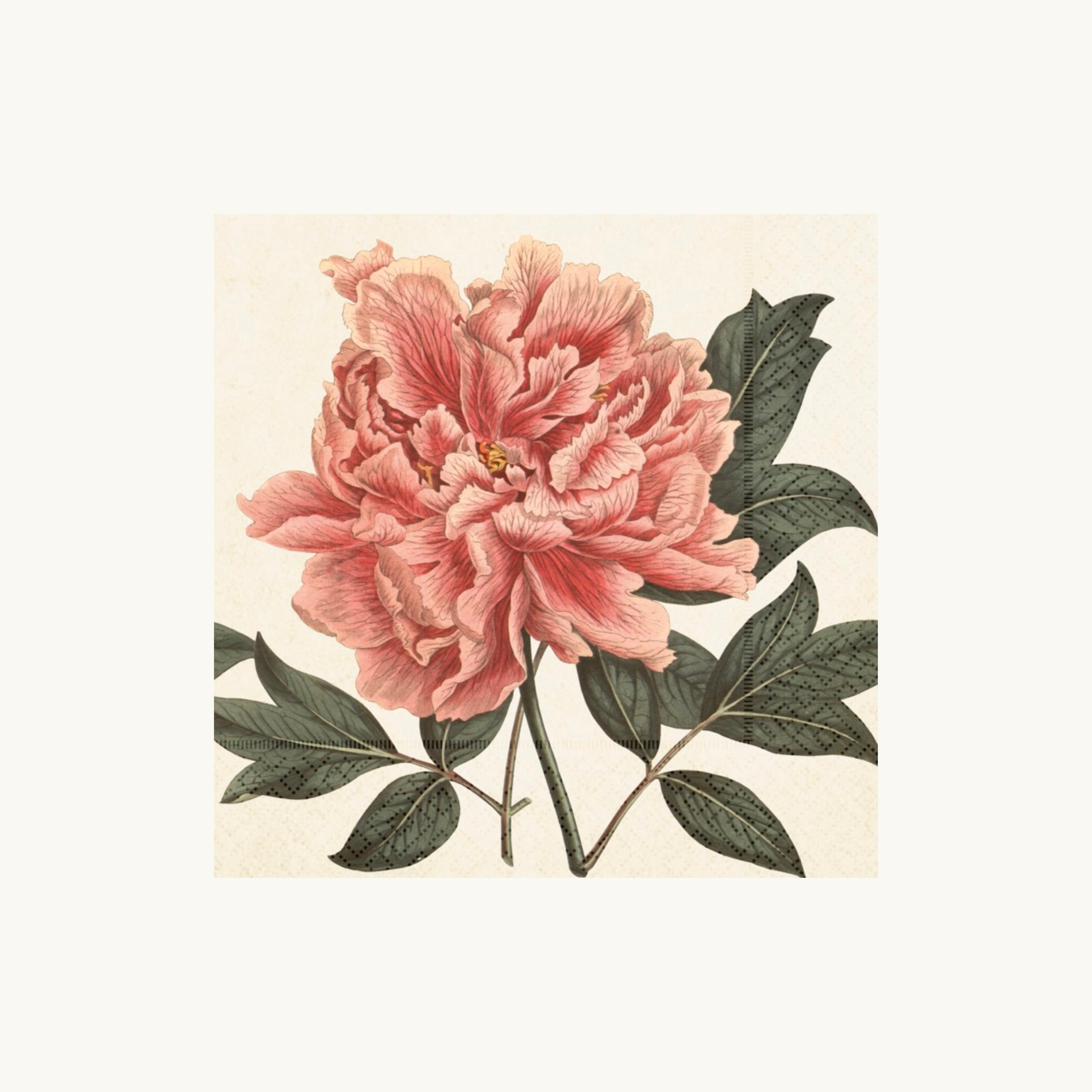 Pink Peony Paper Napkins