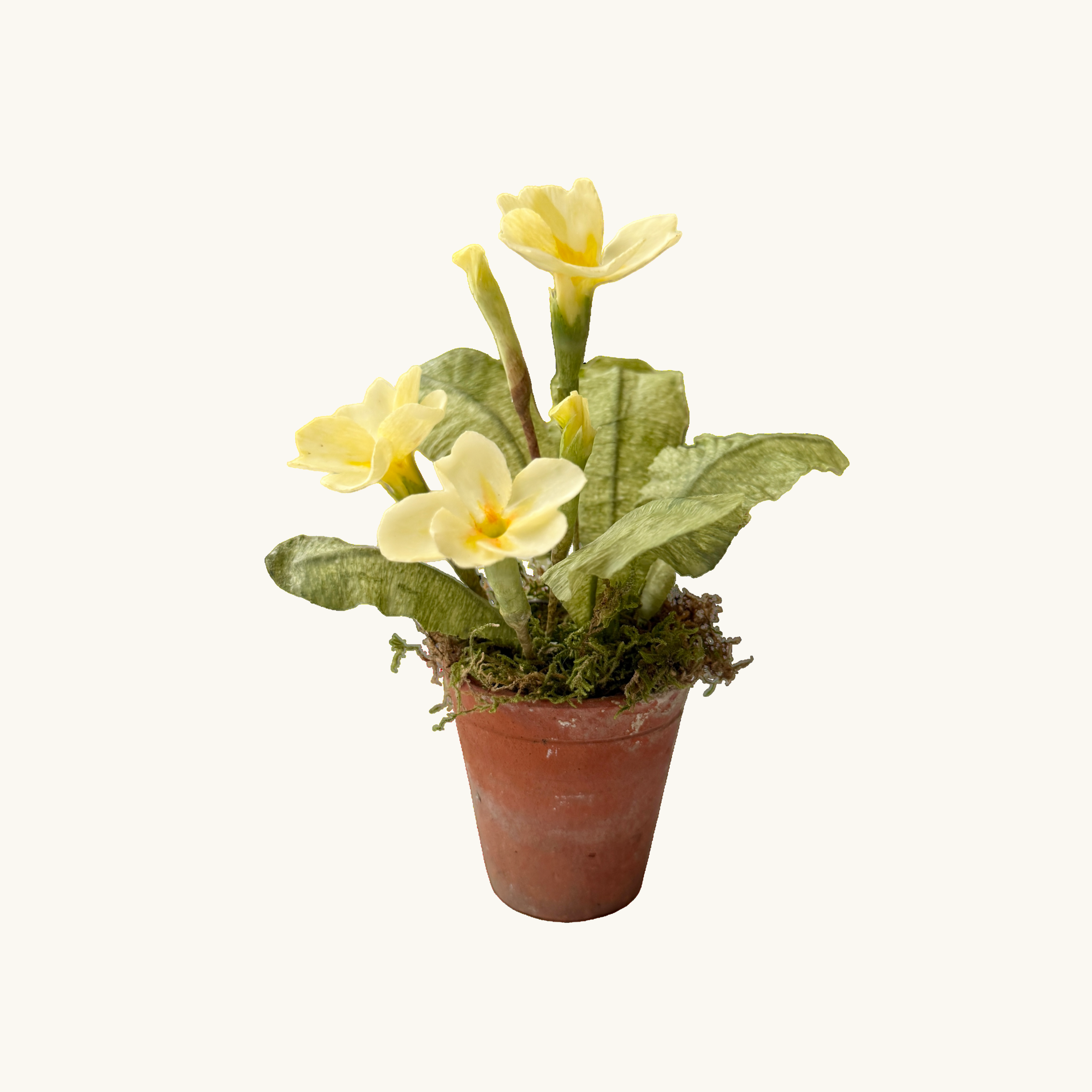 Spring Primrose Wax Paper Flower Pot