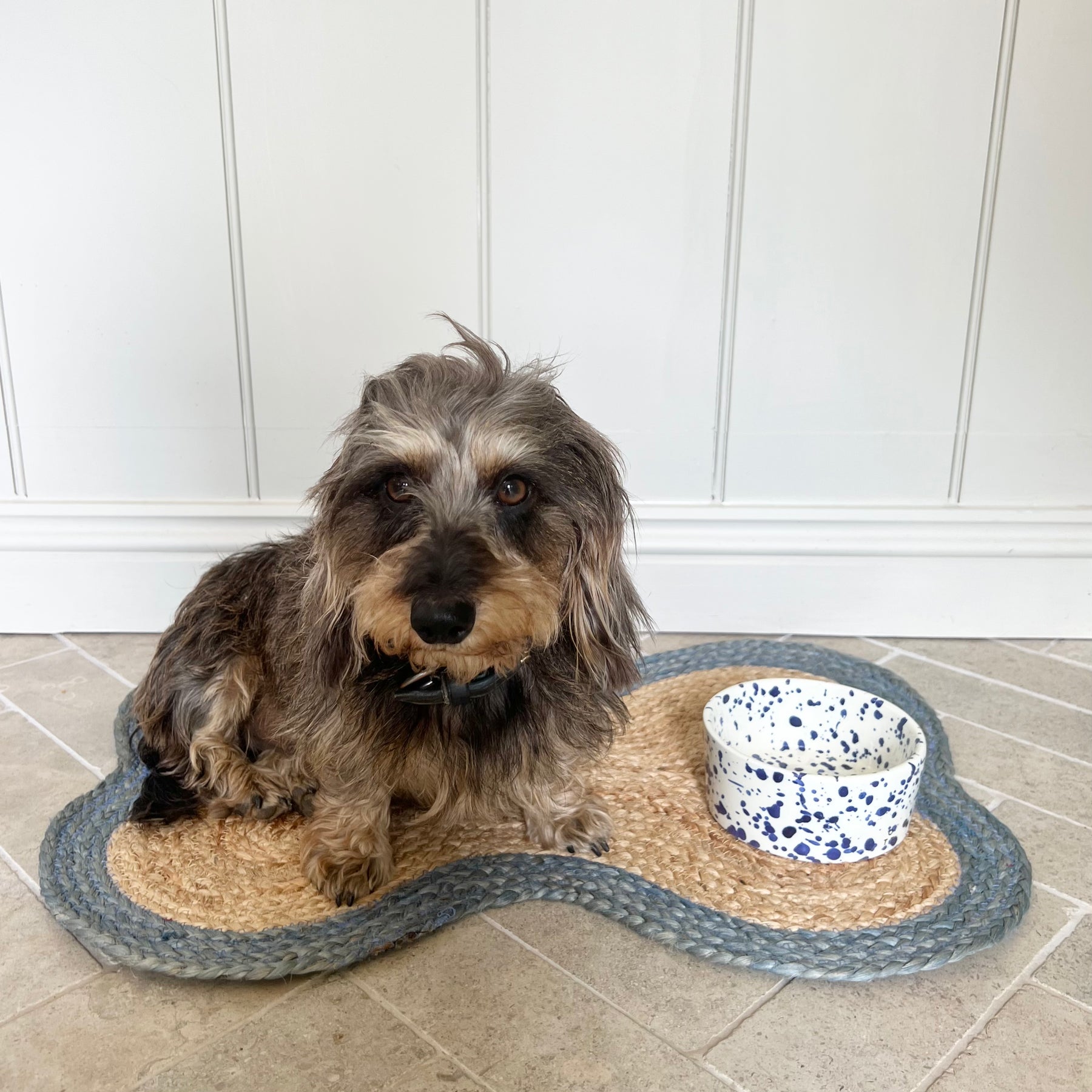 Mat dog top
