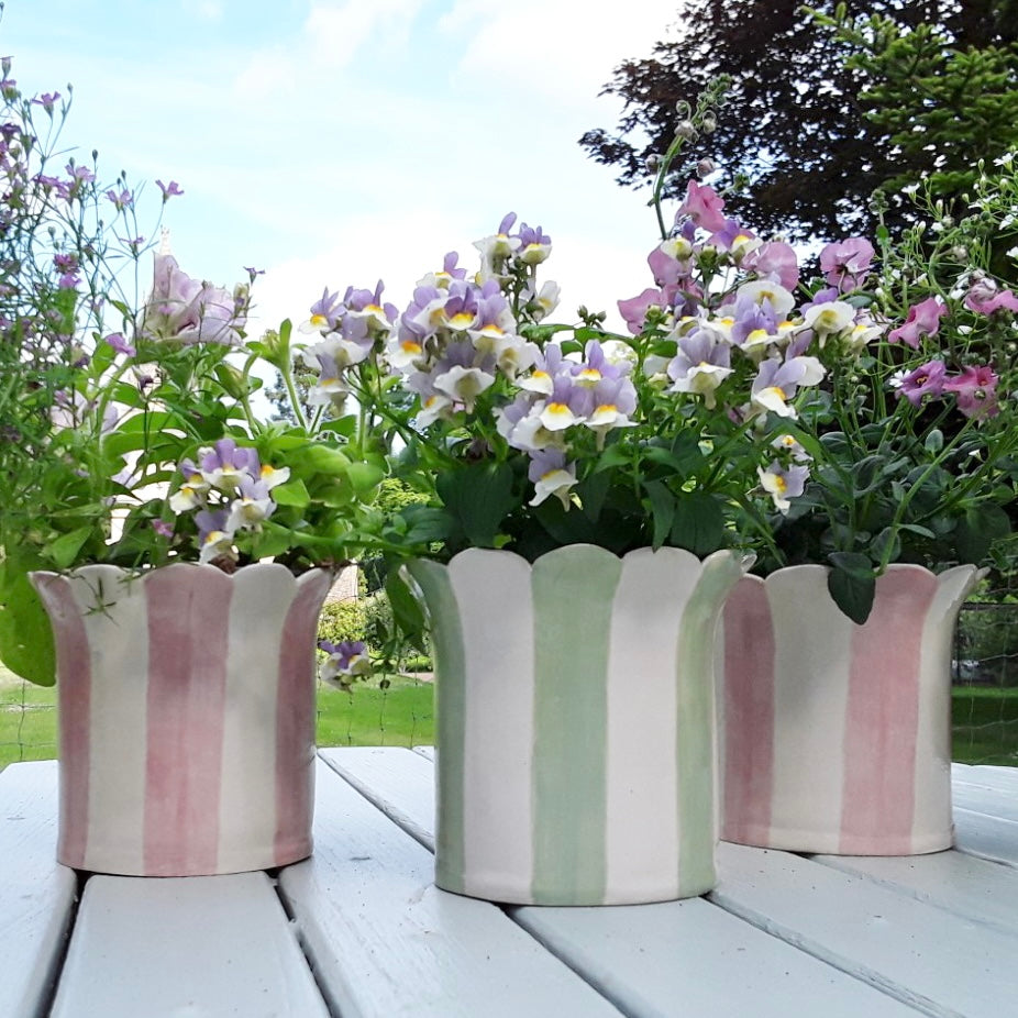 Pink Daisy Scalloped Planter